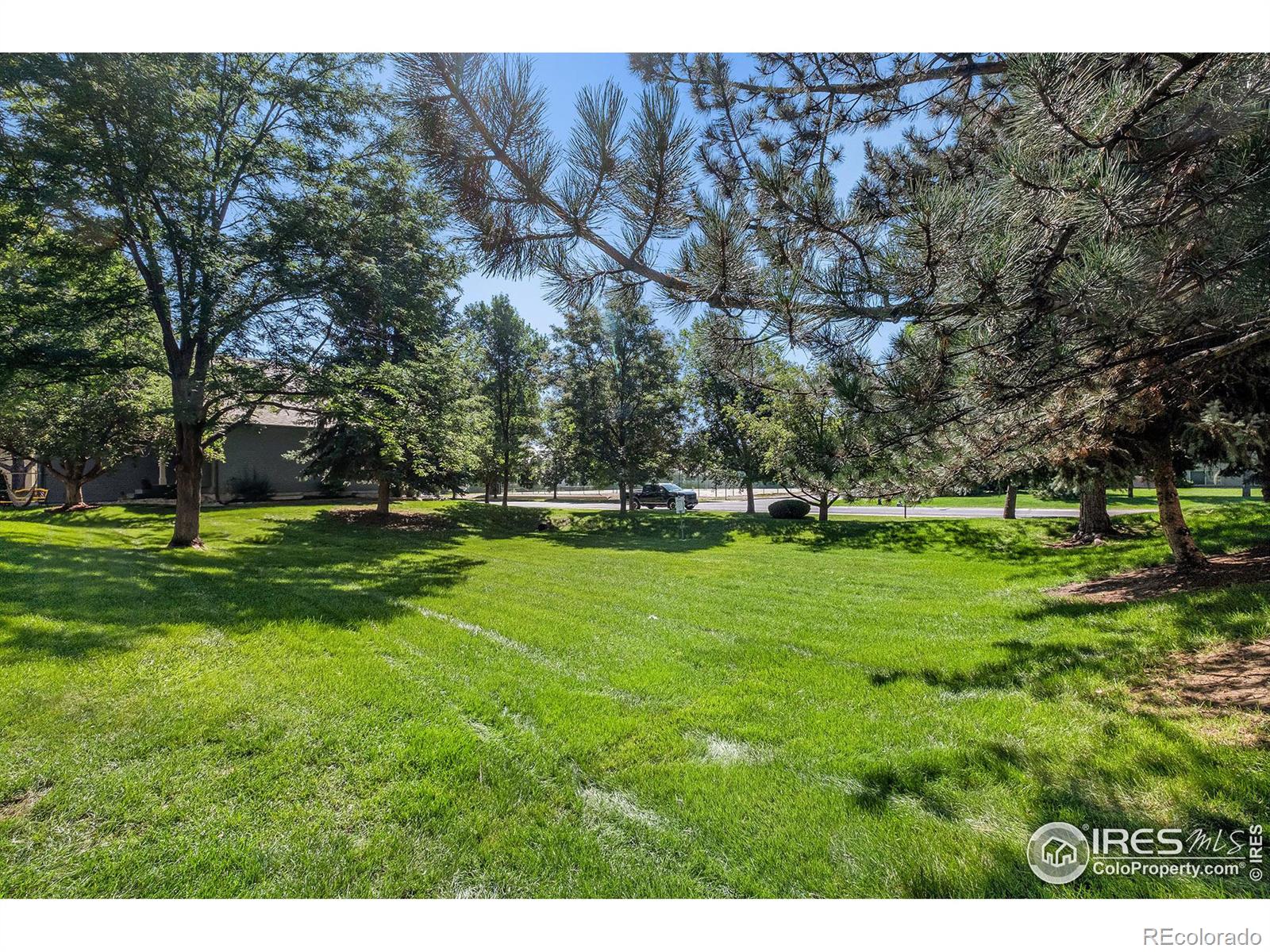 MLS Image #23 for 3626  wild horse court,loveland, Colorado
