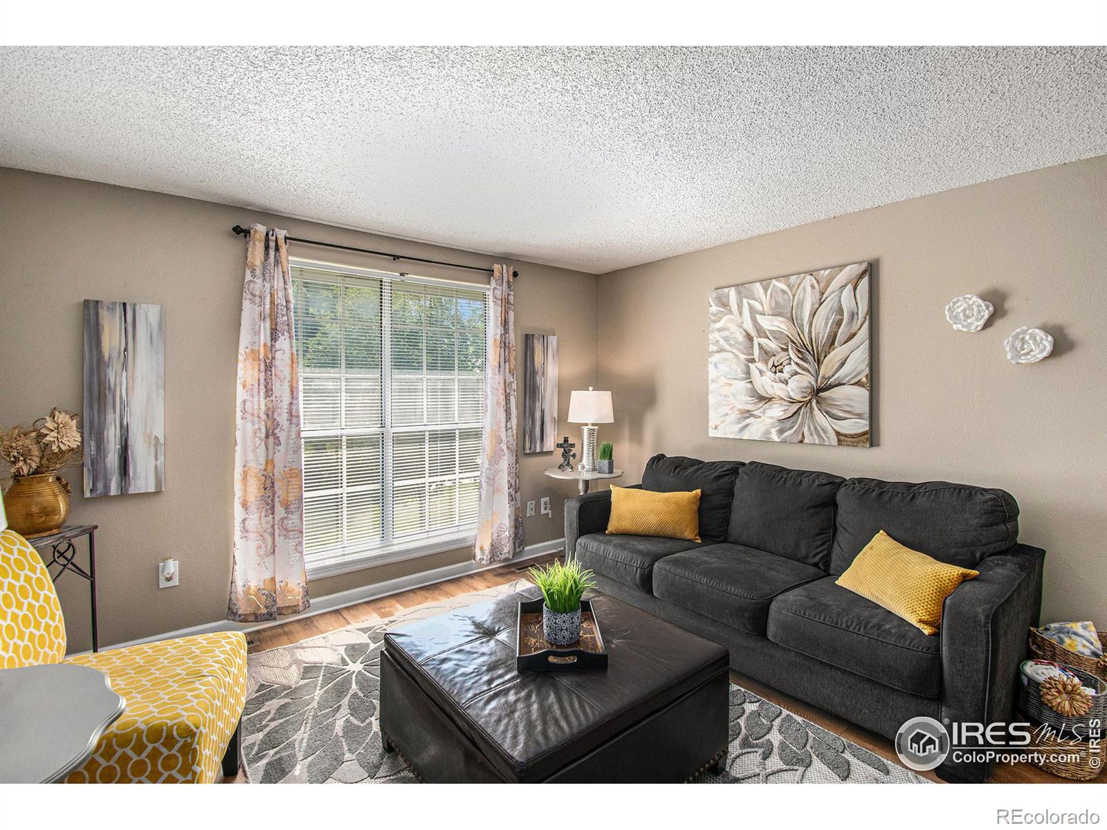 CMA Image for 2903  White Elm Drive,Loveland, Colorado