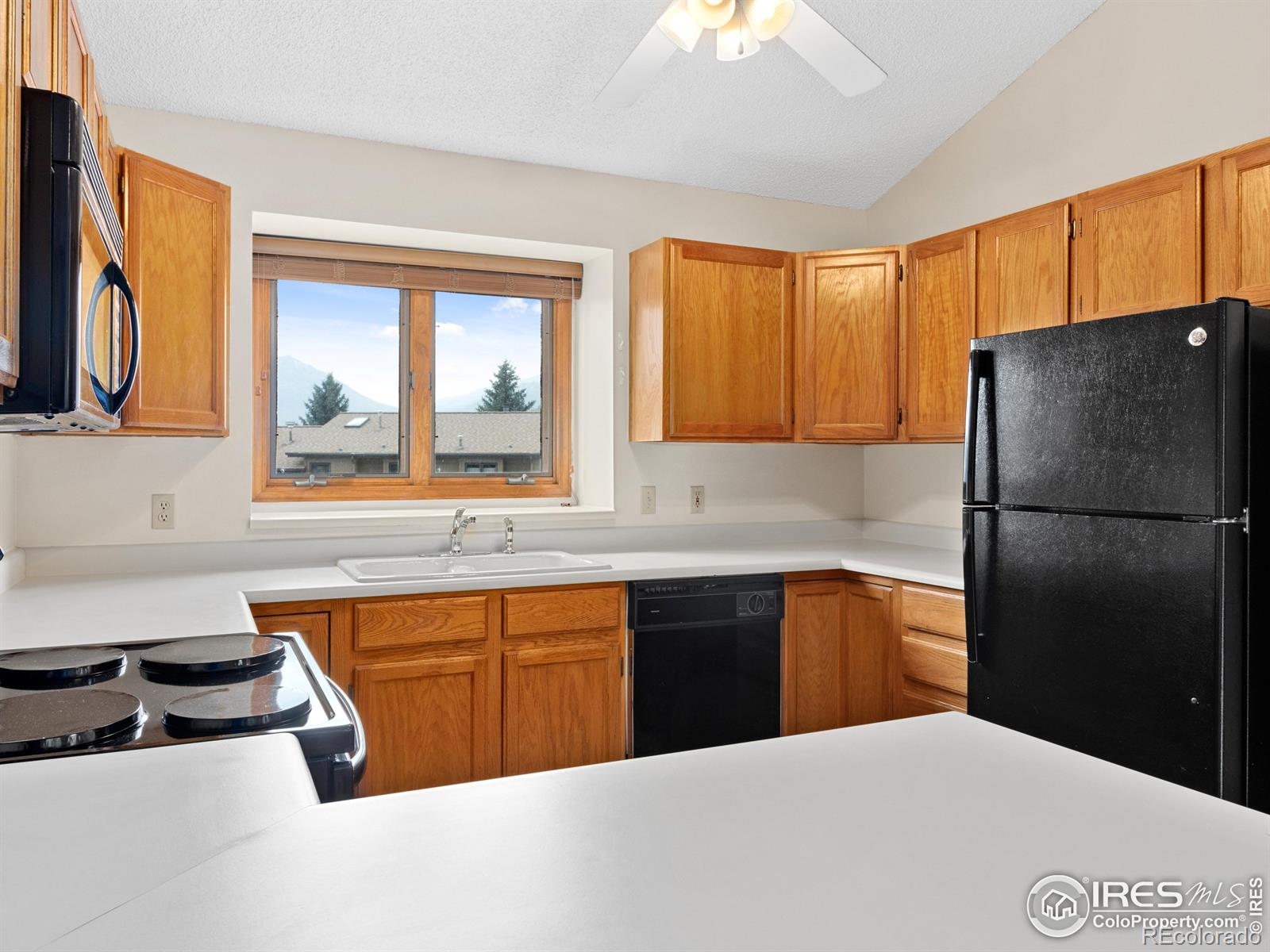 MLS Image #10 for 514  grand estates drive,estes park, Colorado