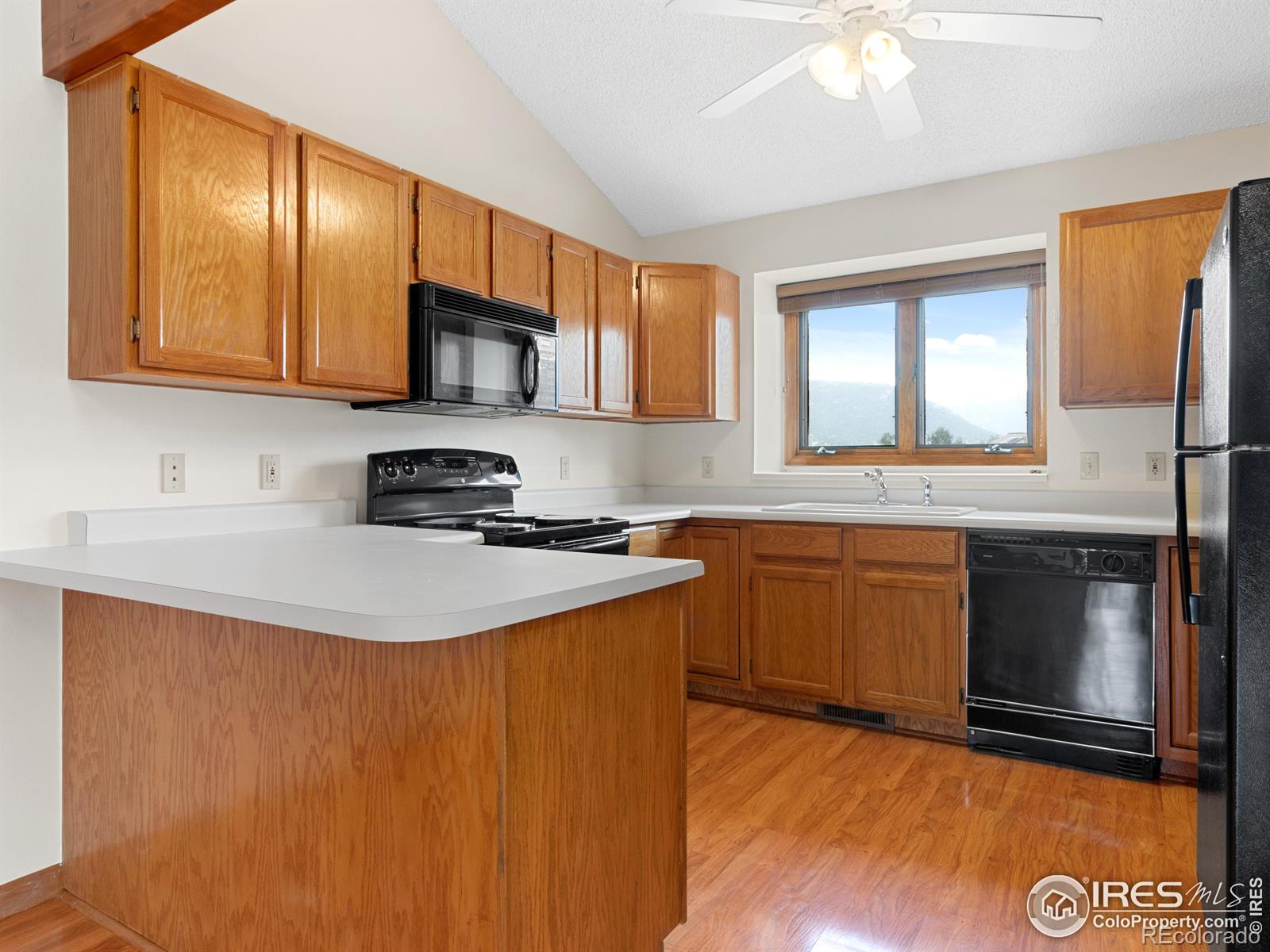 MLS Image #5 for 514  grand estates drive,estes park, Colorado