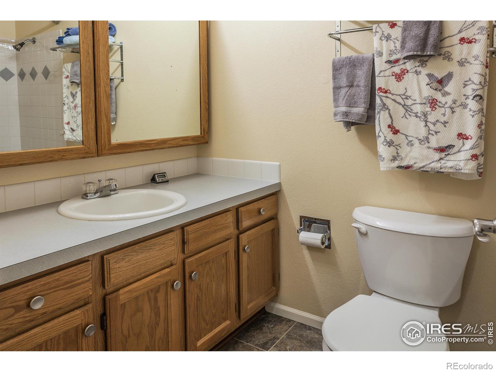 MLS Image #23 for 2617 e redbud drive,loveland, Colorado