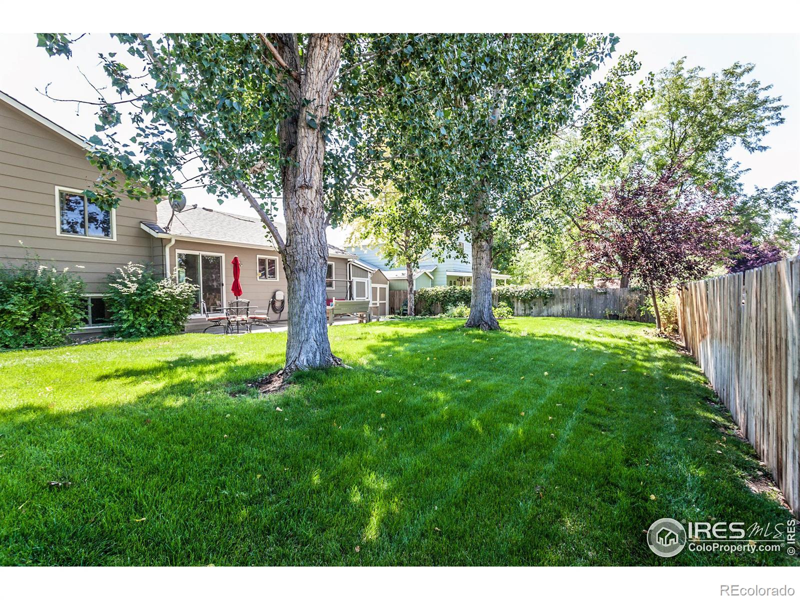 MLS Image #27 for 2617 e redbud drive,loveland, Colorado