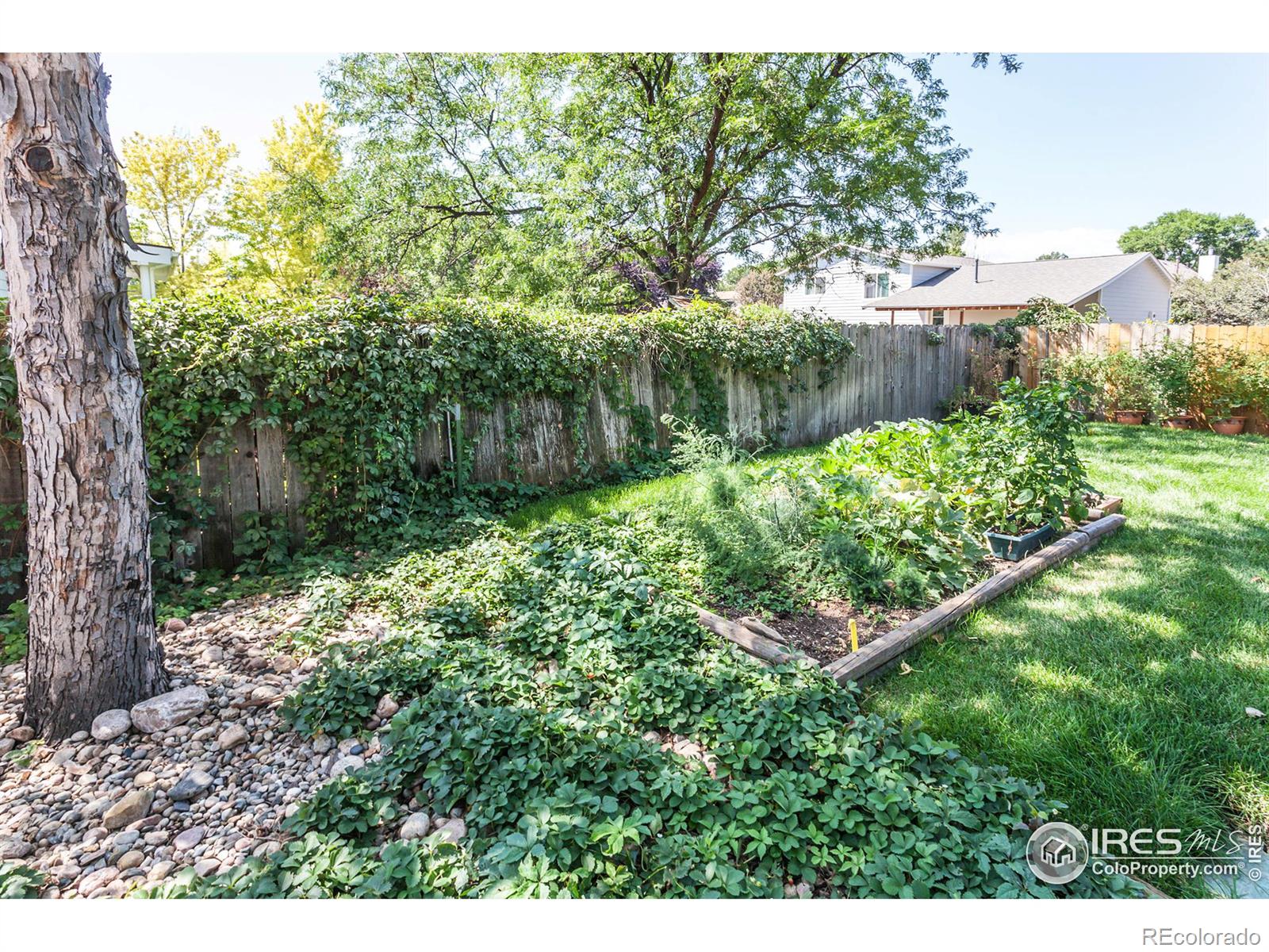 MLS Image #32 for 2617 e redbud drive,loveland, Colorado