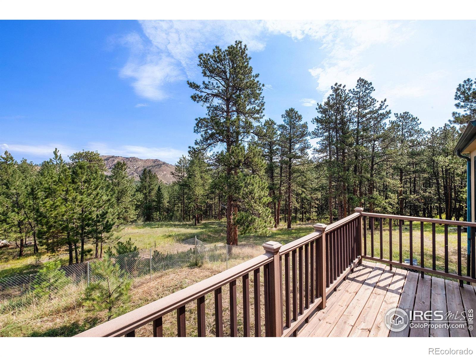 CMA Image for 1448  Spruce Mountain Drive,Drake, Colorado