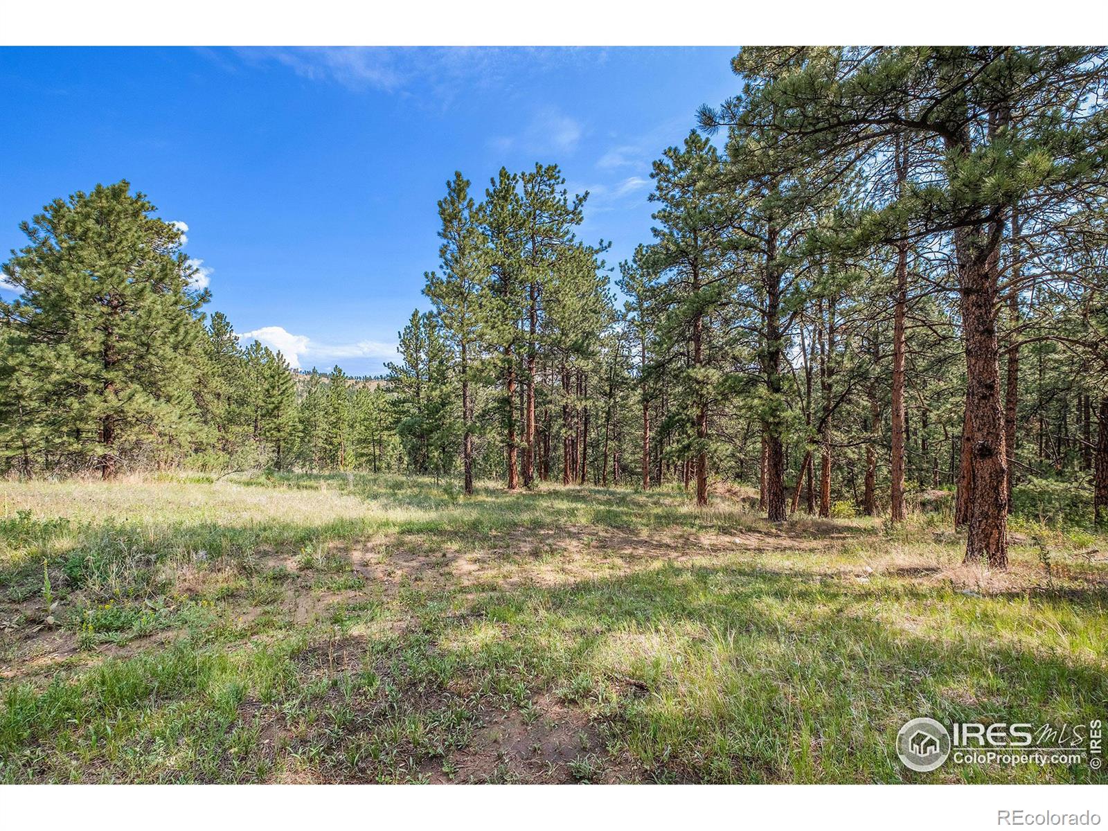 MLS Image #2 for 1448  spruce mountain drive,drake, Colorado