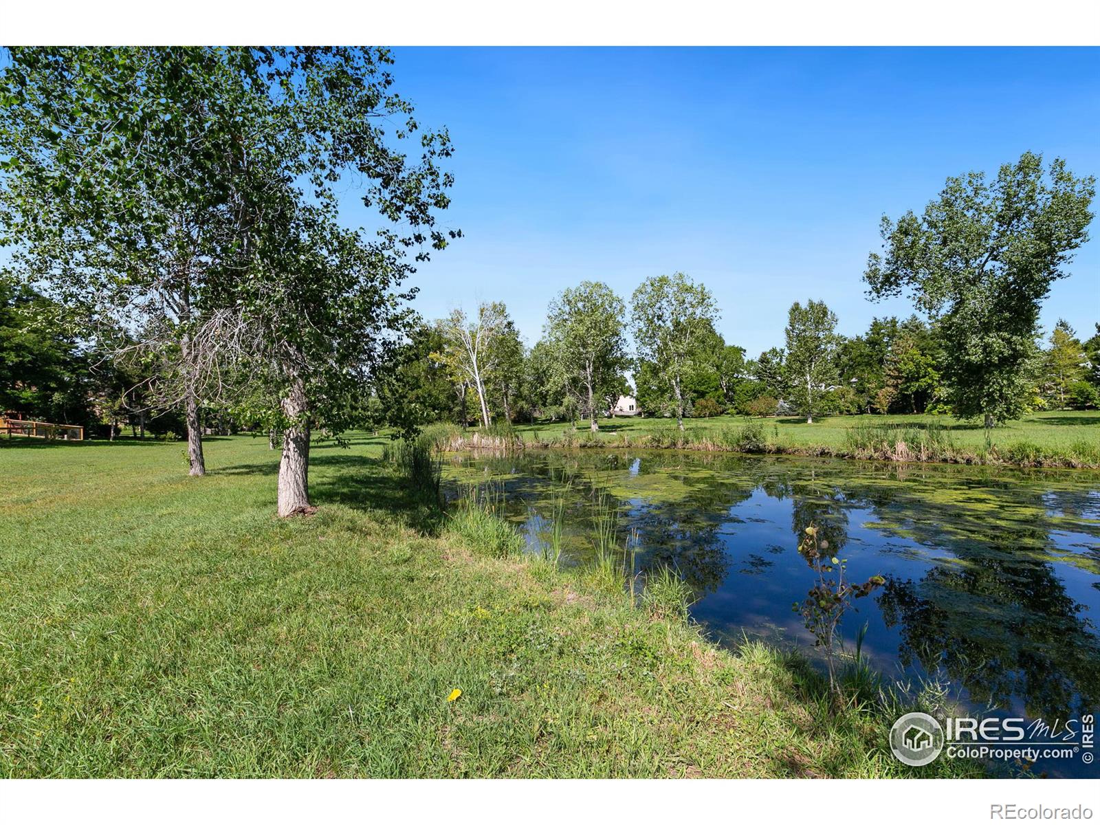 MLS Image #22 for 3432  carlton avenue,fort collins, Colorado