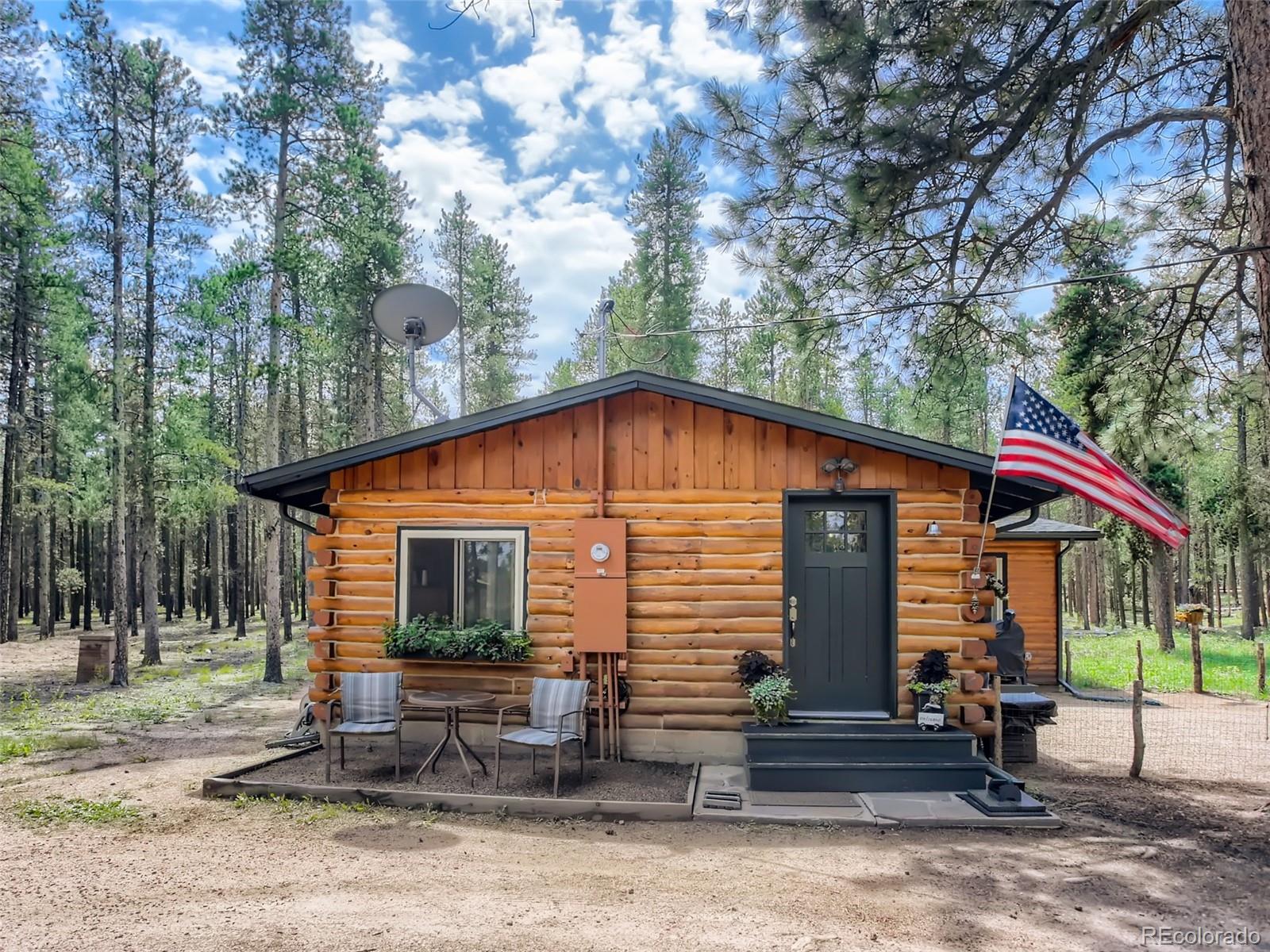 MLS Image #1 for 144  road 115 ,bailey, Colorado