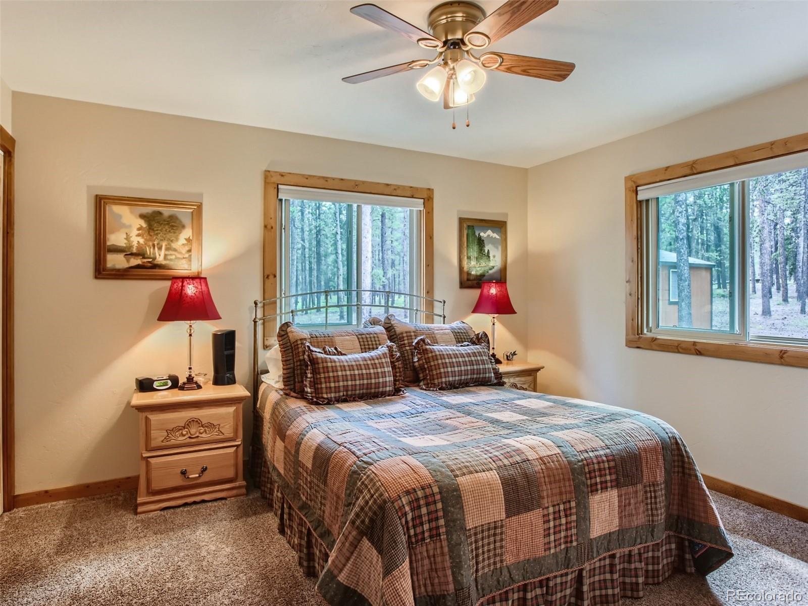 MLS Image #16 for 144  road 115 ,bailey, Colorado