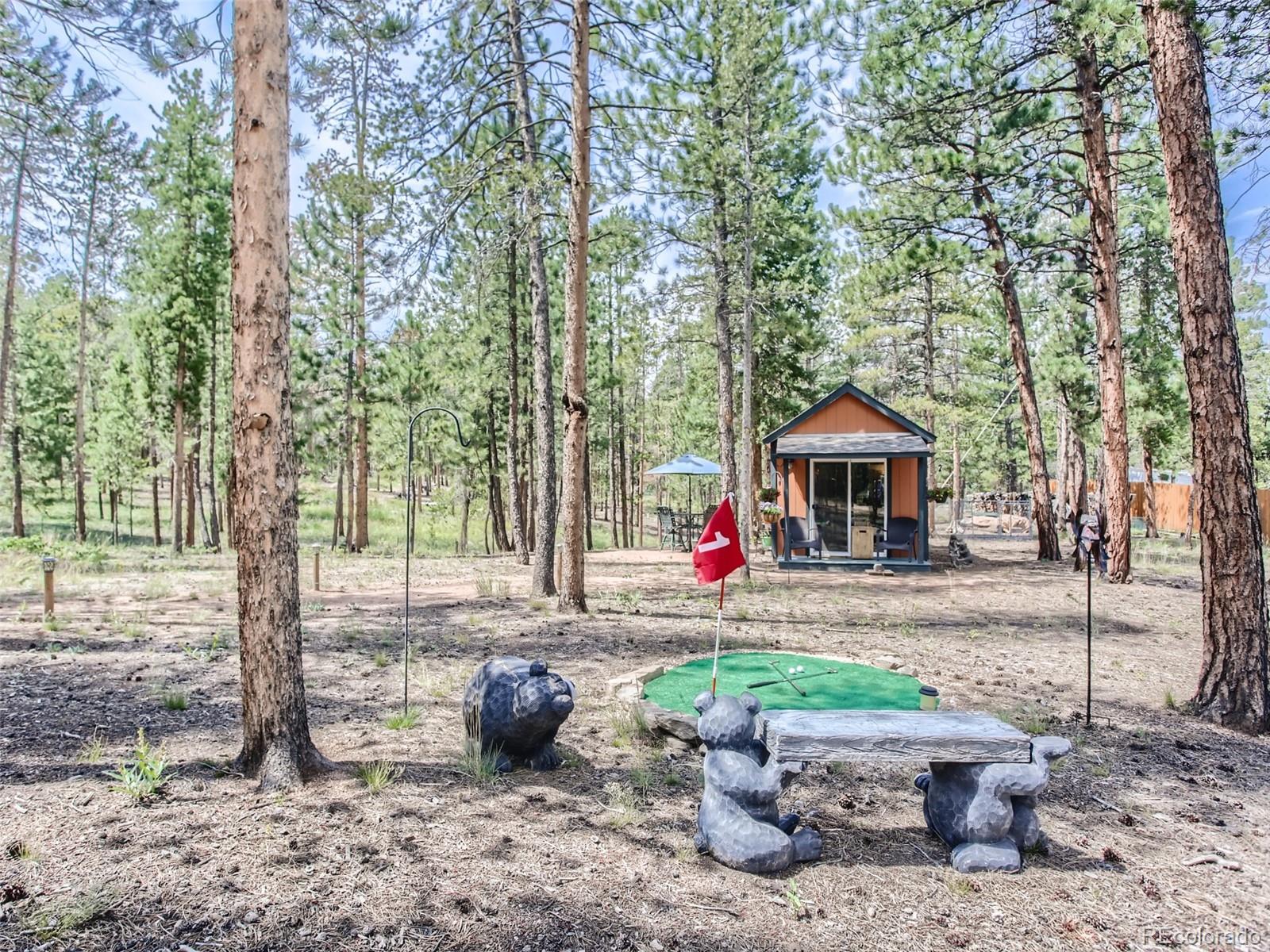 MLS Image #19 for 144  road 115 ,bailey, Colorado