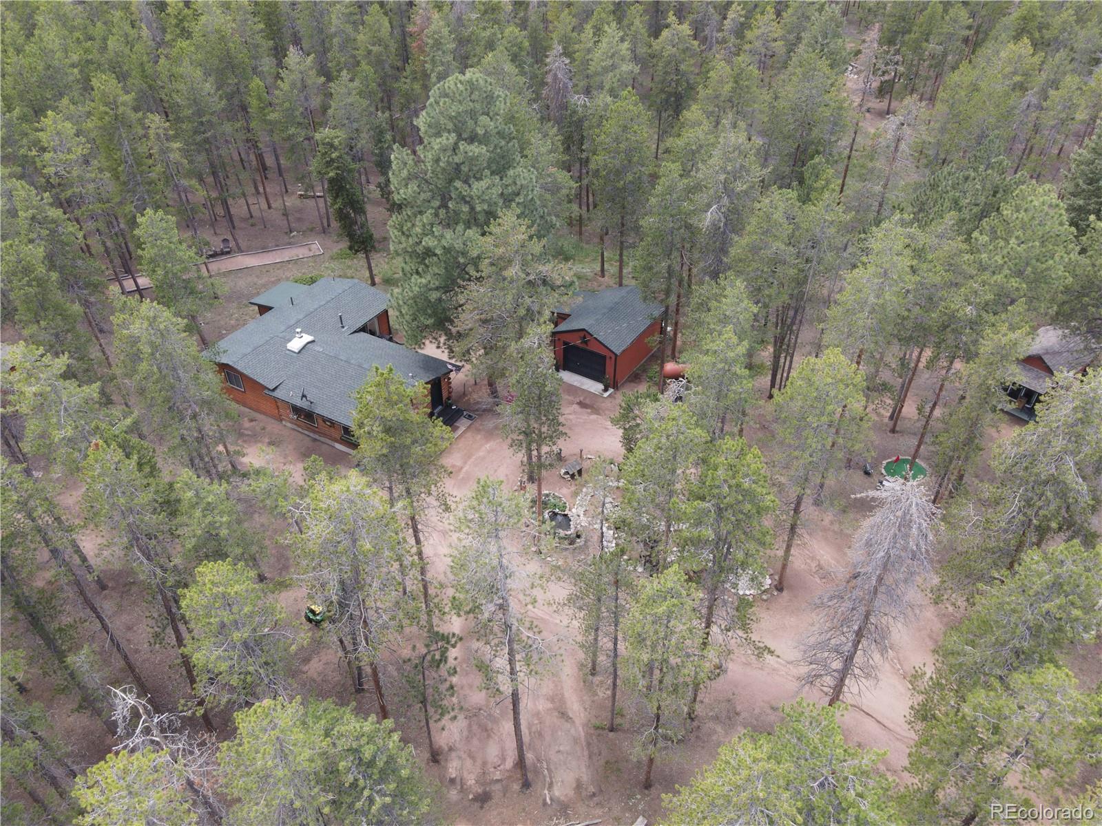 MLS Image #2 for 144  road 115 ,bailey, Colorado
