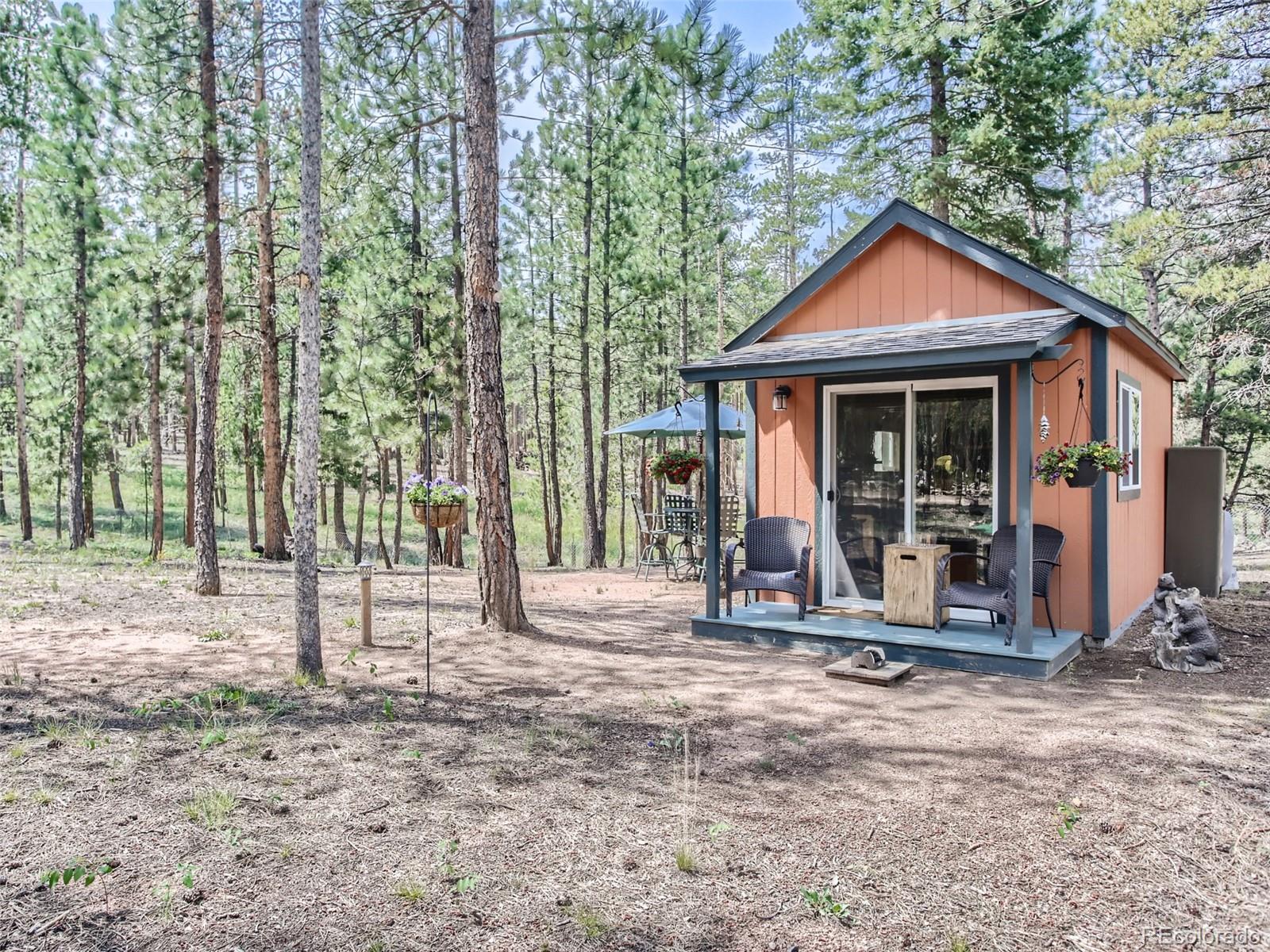 MLS Image #20 for 144  road 115 ,bailey, Colorado