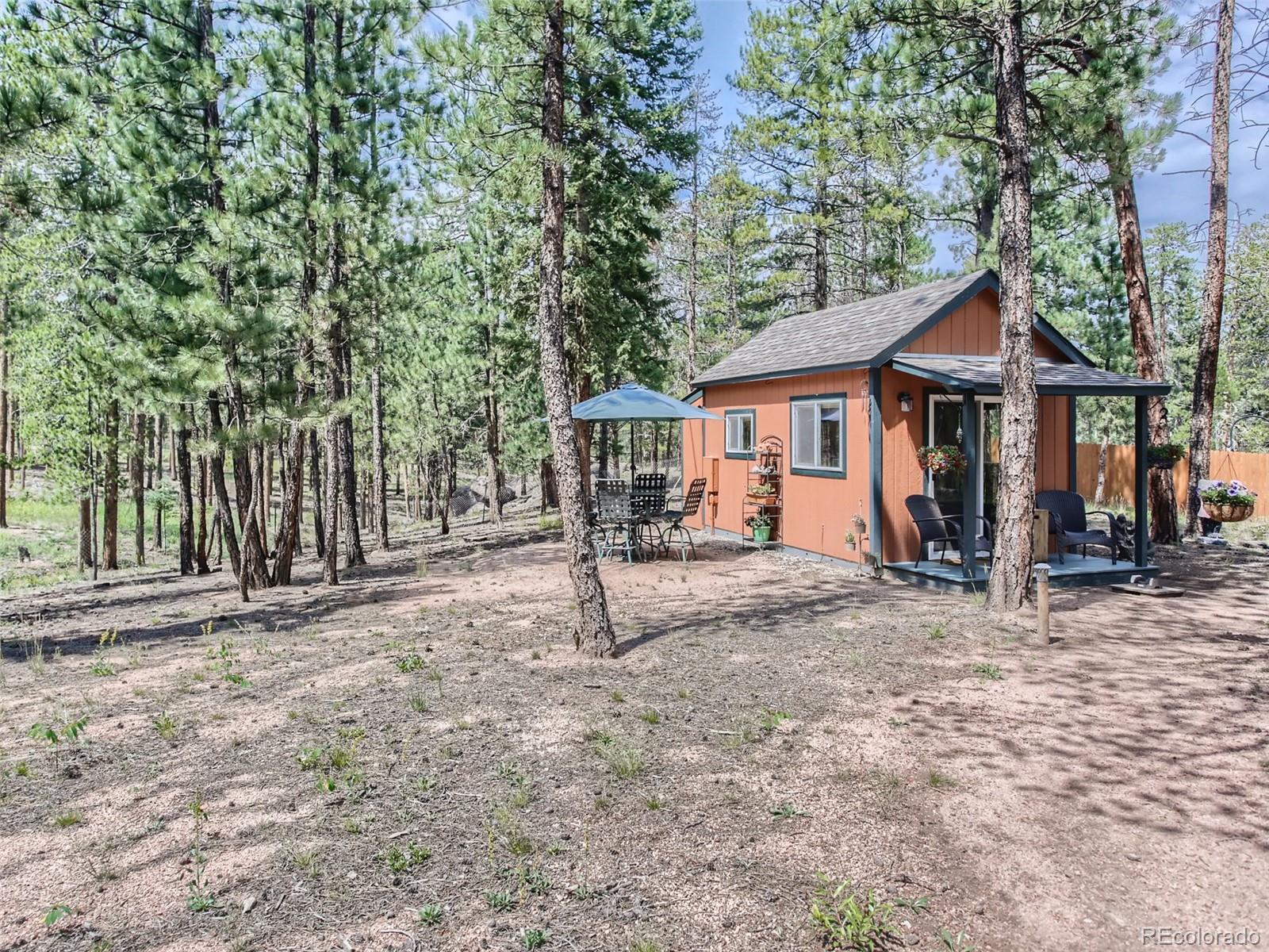 MLS Image #21 for 144  road 115 ,bailey, Colorado