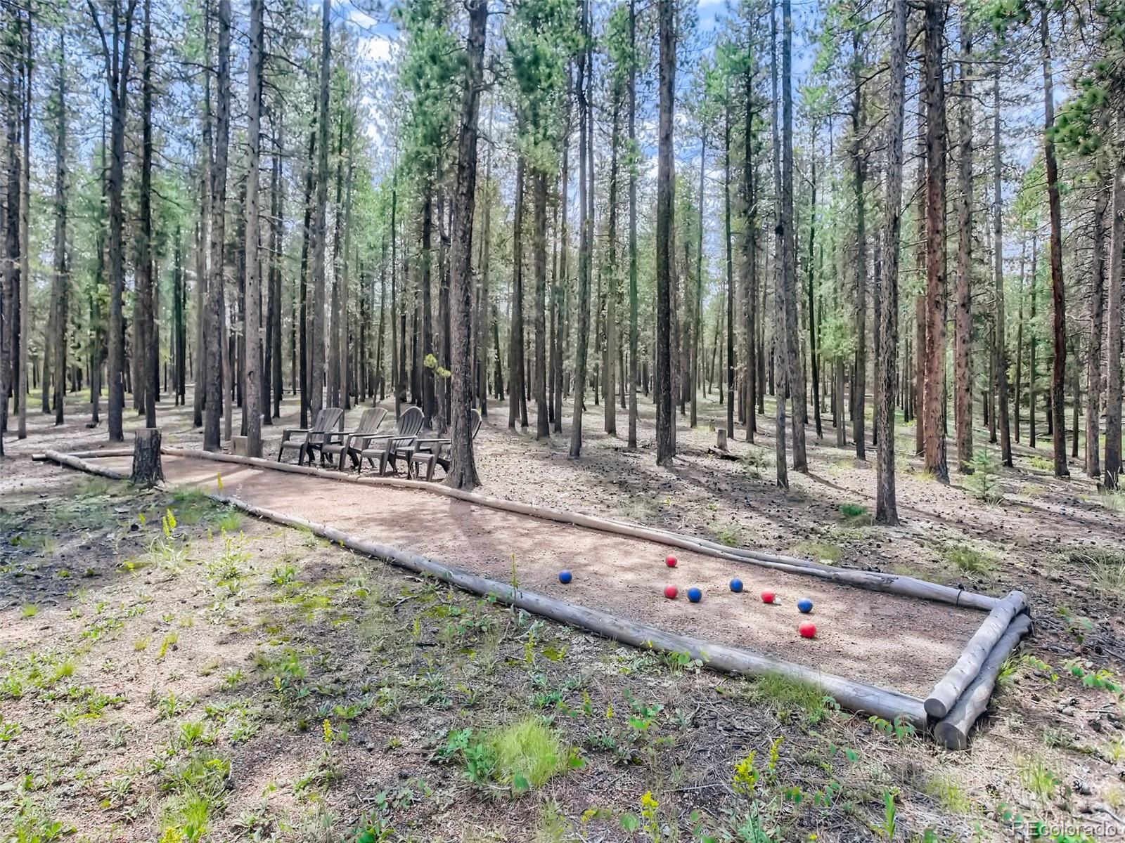 MLS Image #29 for 144  road 115 ,bailey, Colorado