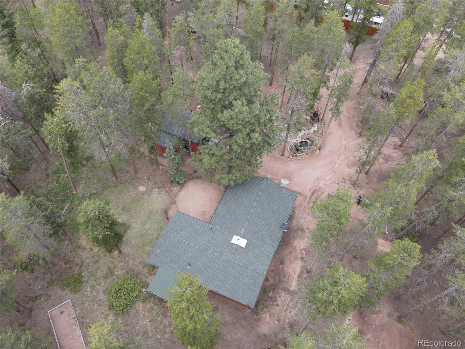 MLS Image #3 for 144  road 115 ,bailey, Colorado