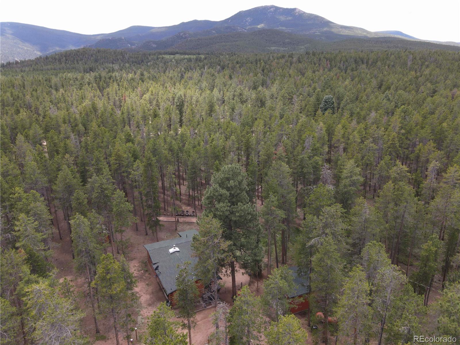 MLS Image #32 for 144  road 115 ,bailey, Colorado