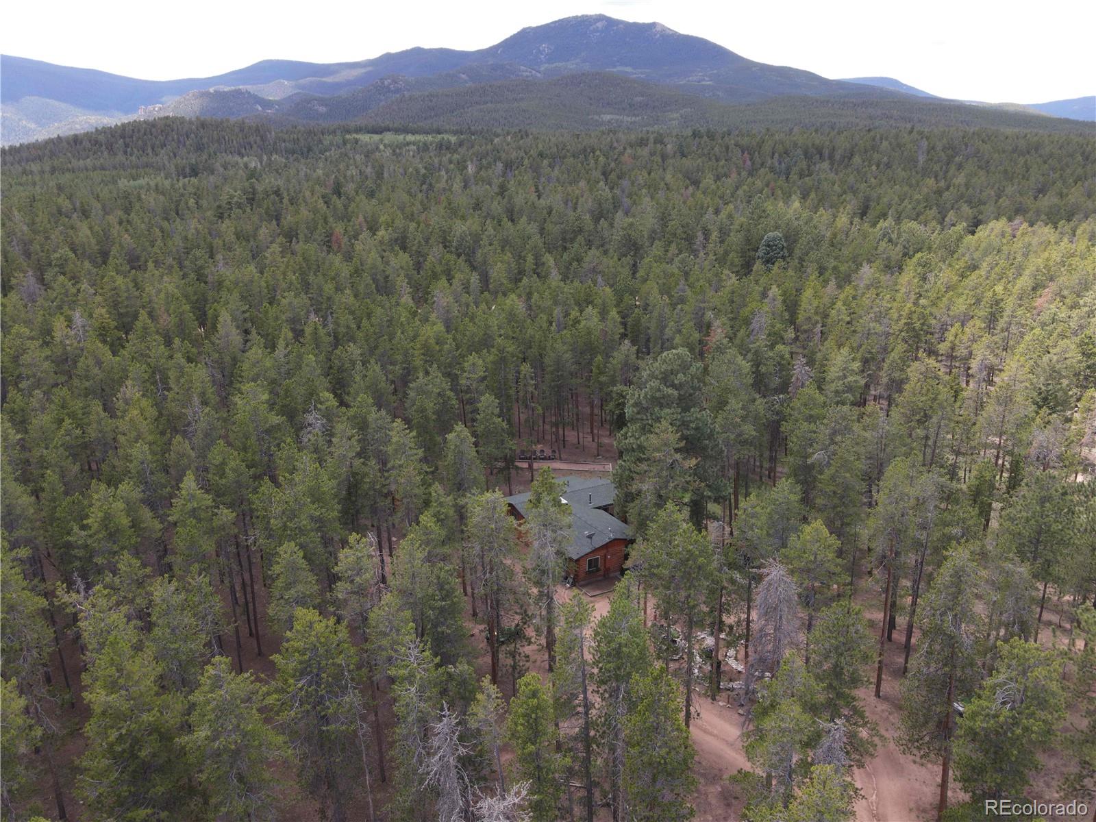 MLS Image #4 for 144  road 115 ,bailey, Colorado