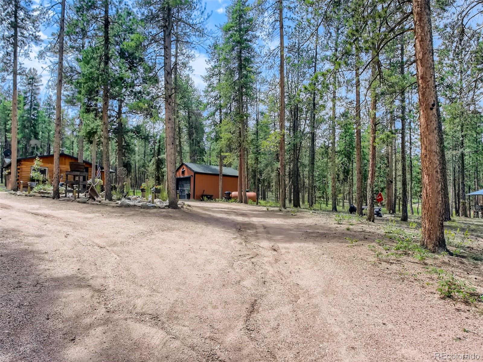 MLS Image #5 for 144  road 115 ,bailey, Colorado