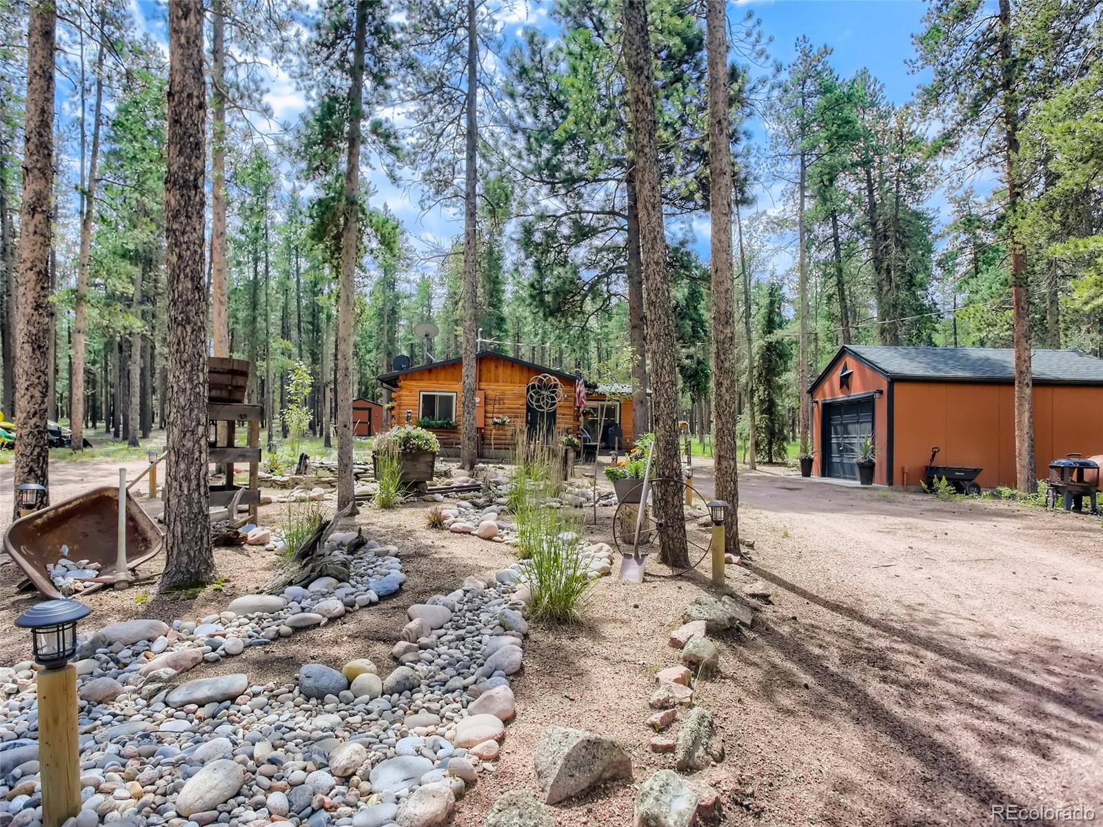 MLS Image #6 for 144  road 115 ,bailey, Colorado