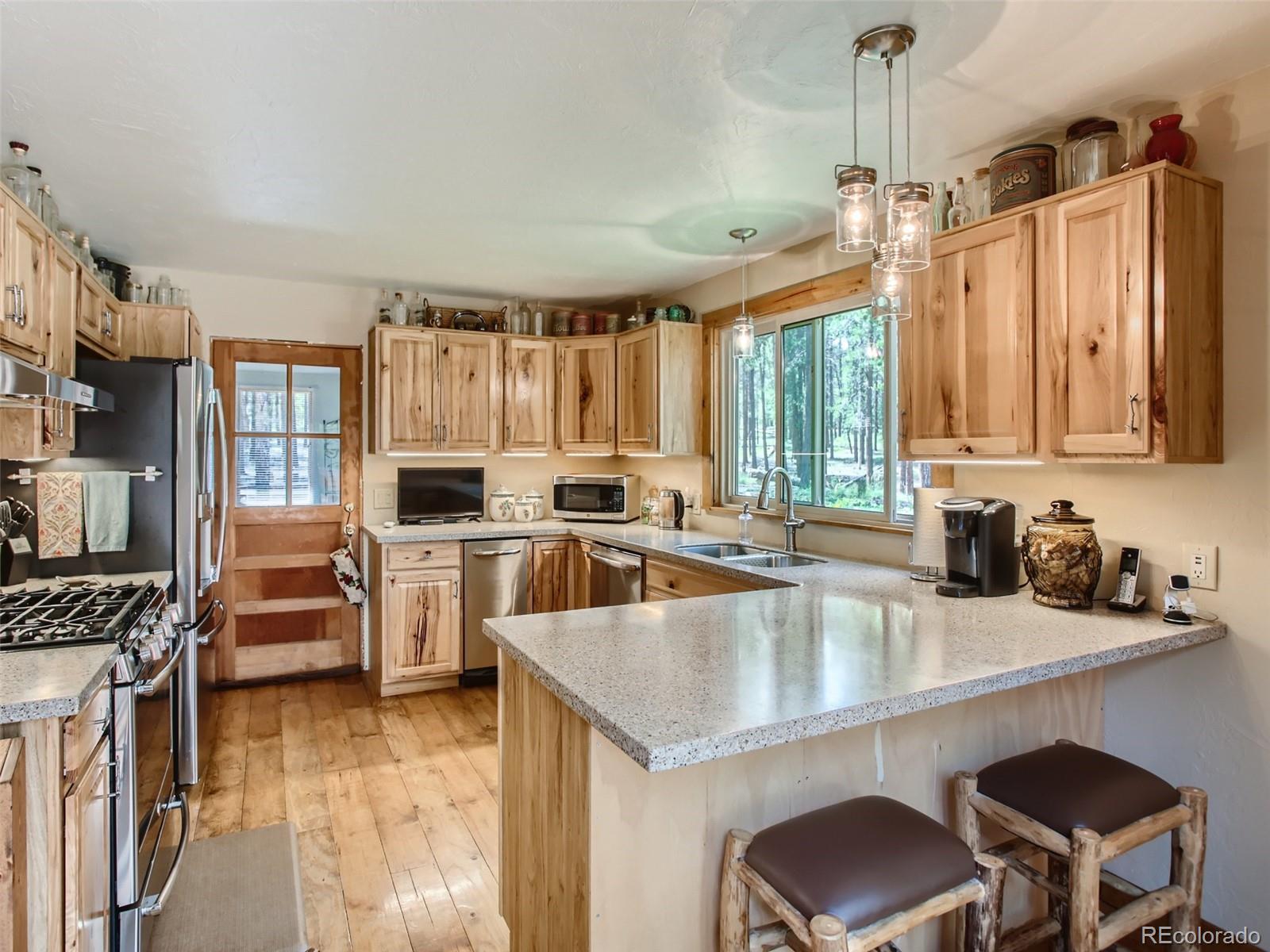 MLS Image #9 for 144  road 115 ,bailey, Colorado