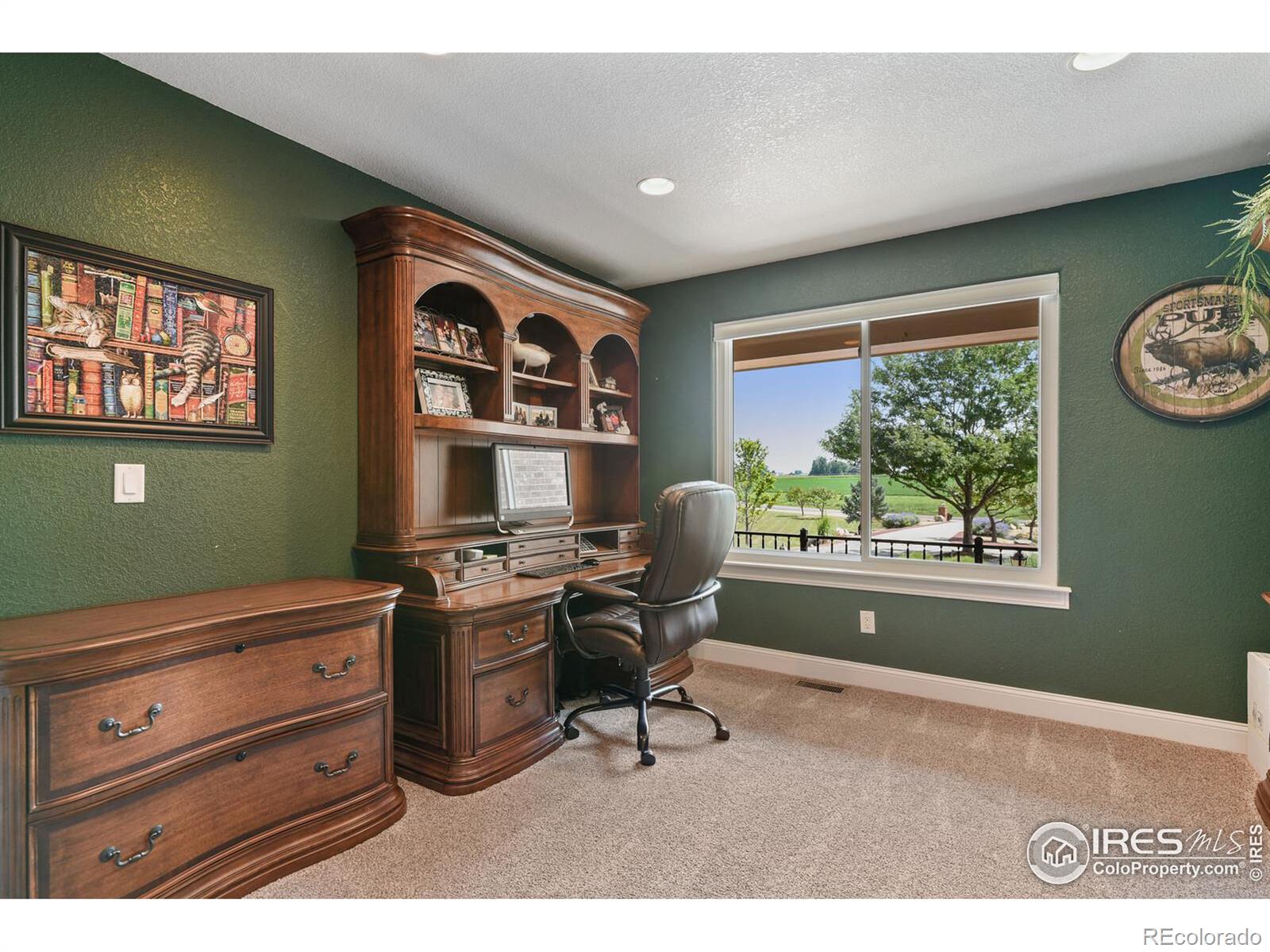 MLS Image #13 for 3143  paddy lane,loveland, Colorado