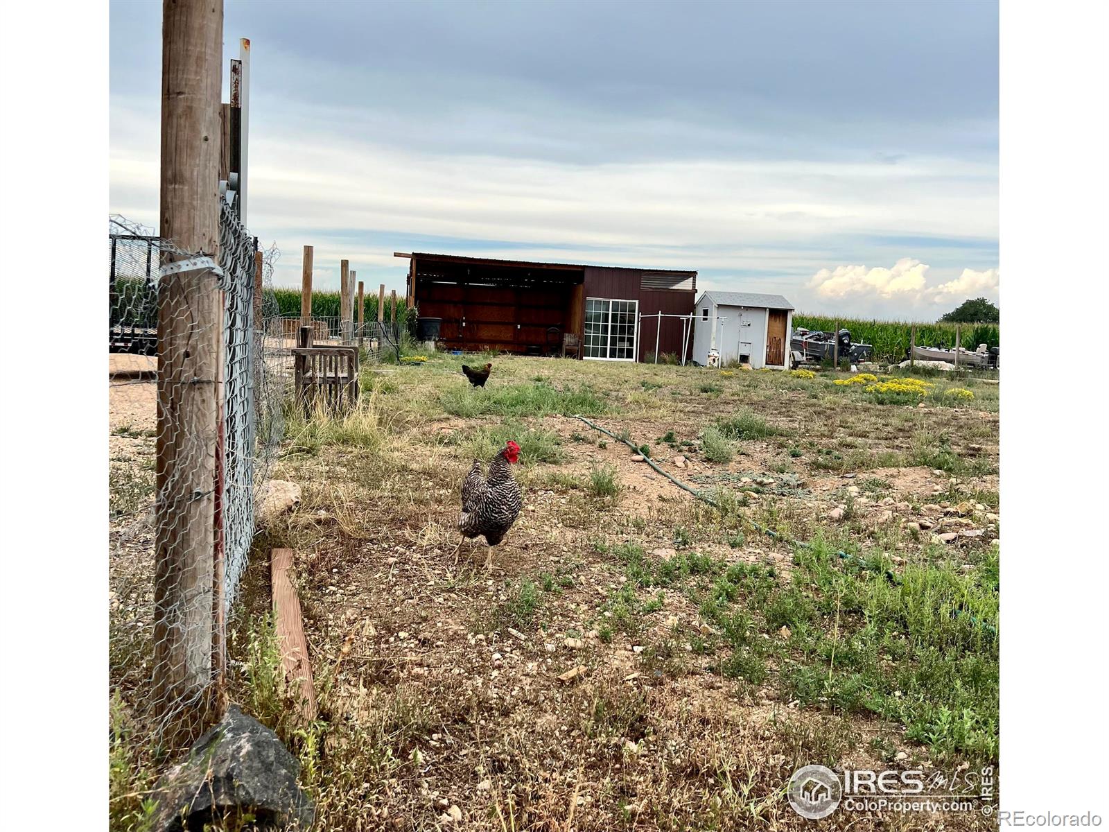 MLS Image #34 for 11549  county road 40.5 ,platteville, Colorado