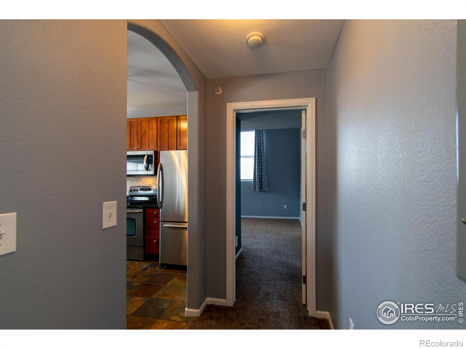 MLS Image #11 for 2955  blue sky circle,erie, Colorado