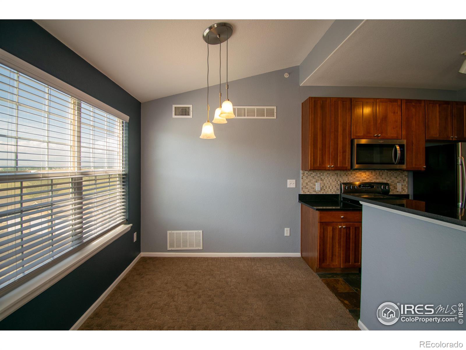 MLS Image #7 for 2955  blue sky circle,erie, Colorado