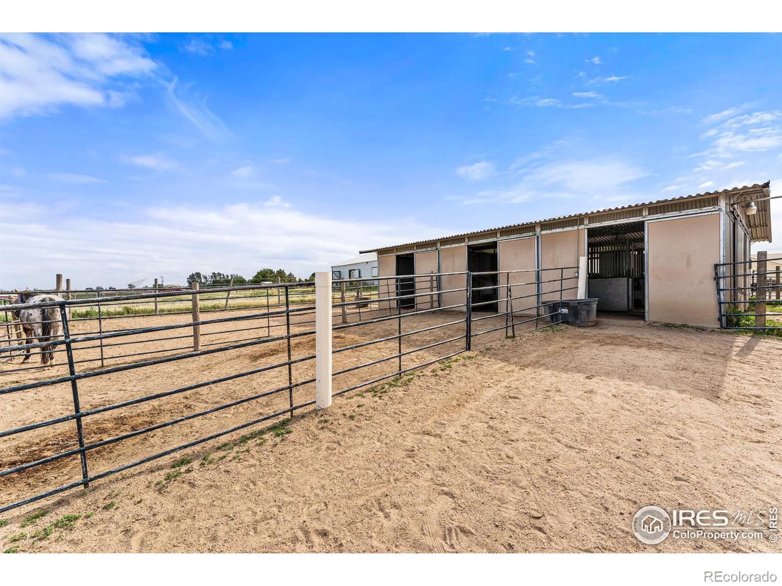 MLS Image #24 for 3626  county road 7 ,erie, Colorado