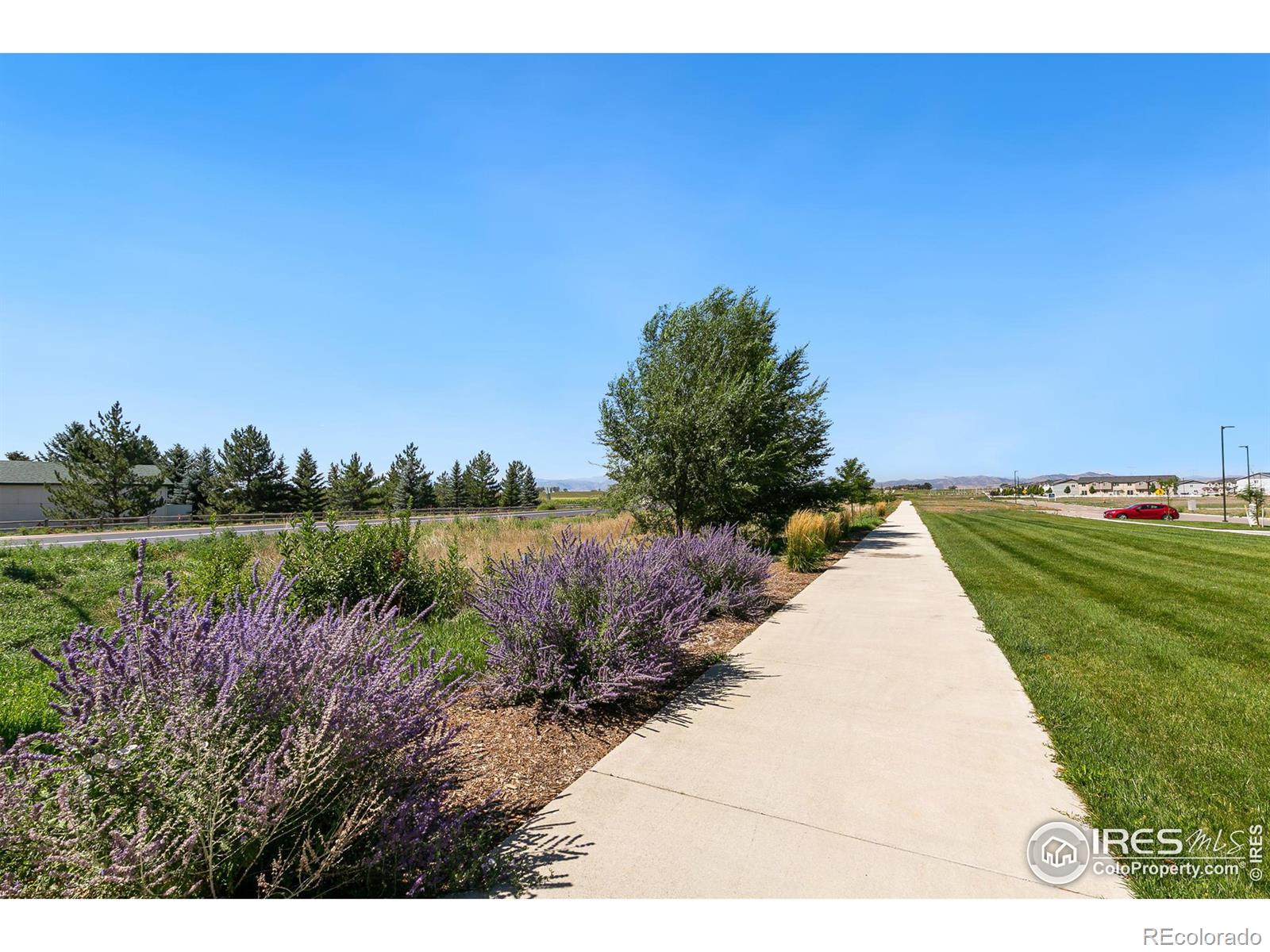 MLS Image #26 for 3171  fairmont drive,wellington, Colorado