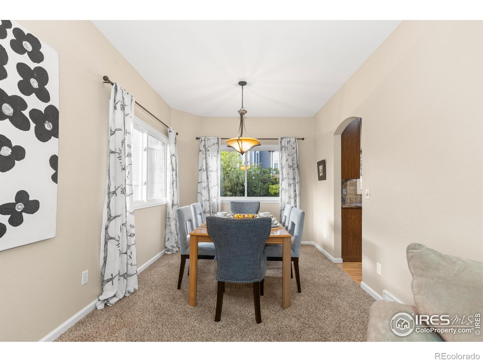 MLS Image #13 for 225  berthoud trail,broomfield, Colorado