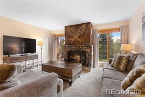 MLS Image #0 for 89100  ryan gulch road,silverthorne, Colorado