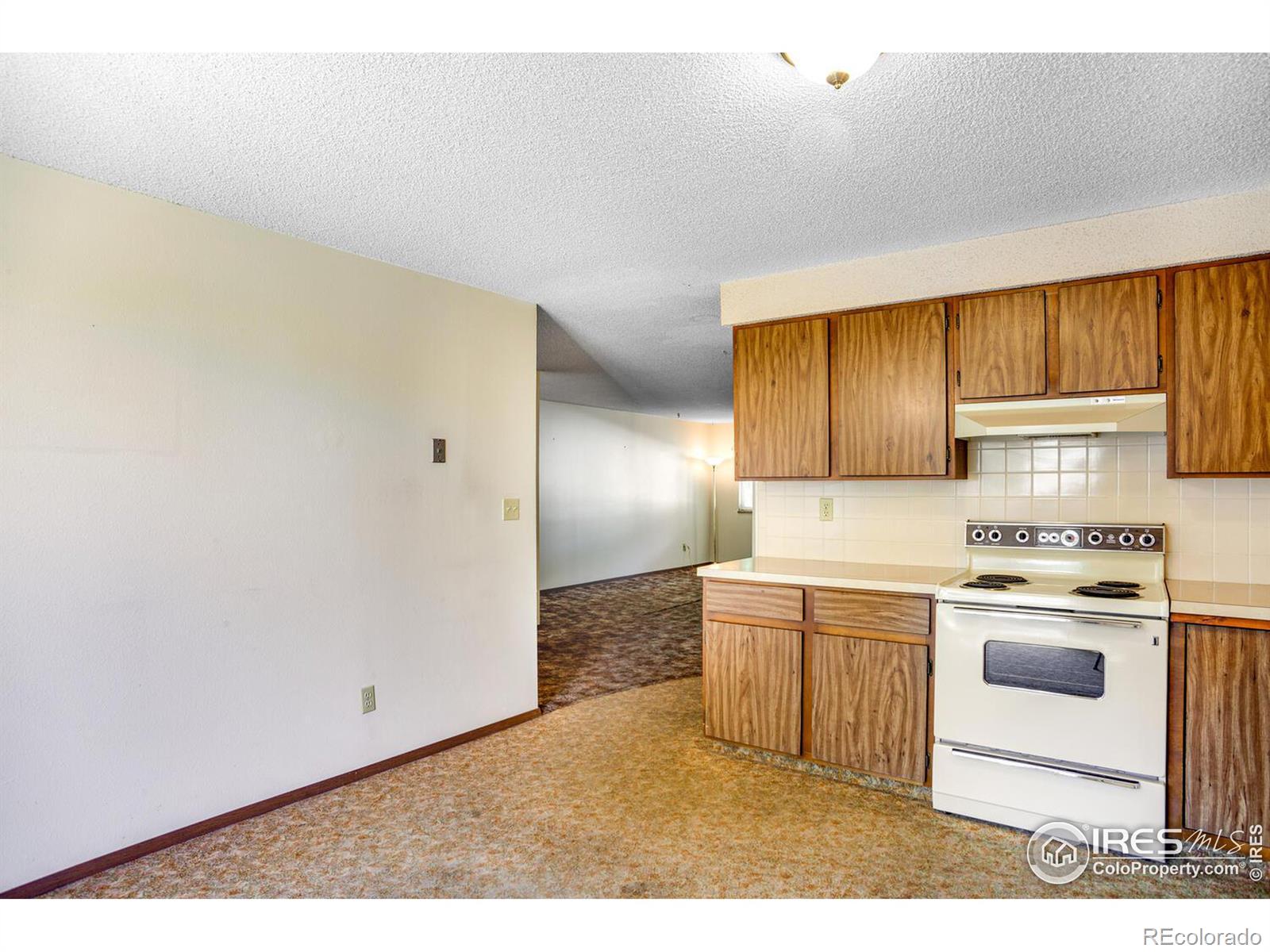 MLS Image #11 for 654  peggy court,loveland, Colorado