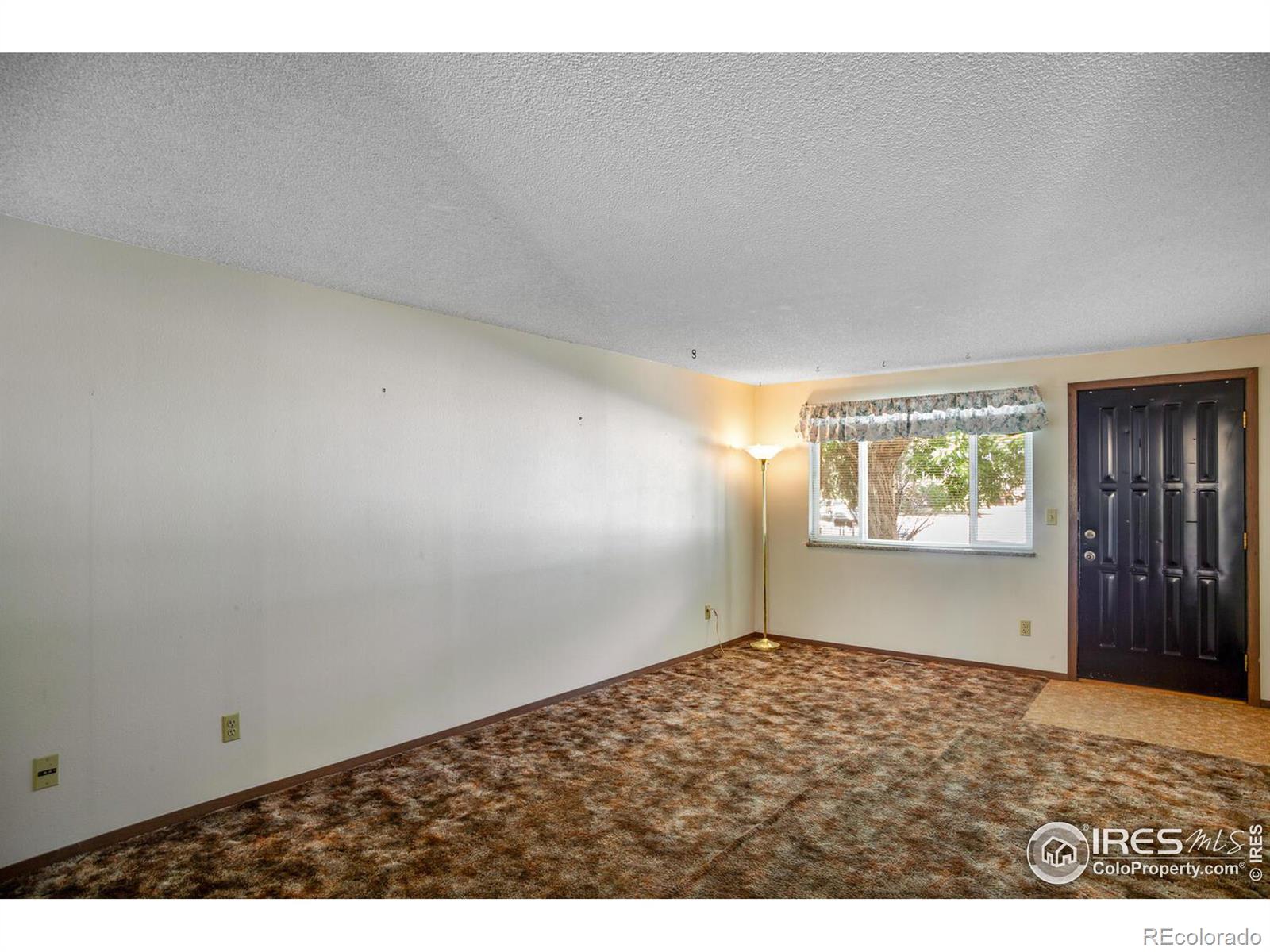 MLS Image #6 for 654  peggy court,loveland, Colorado