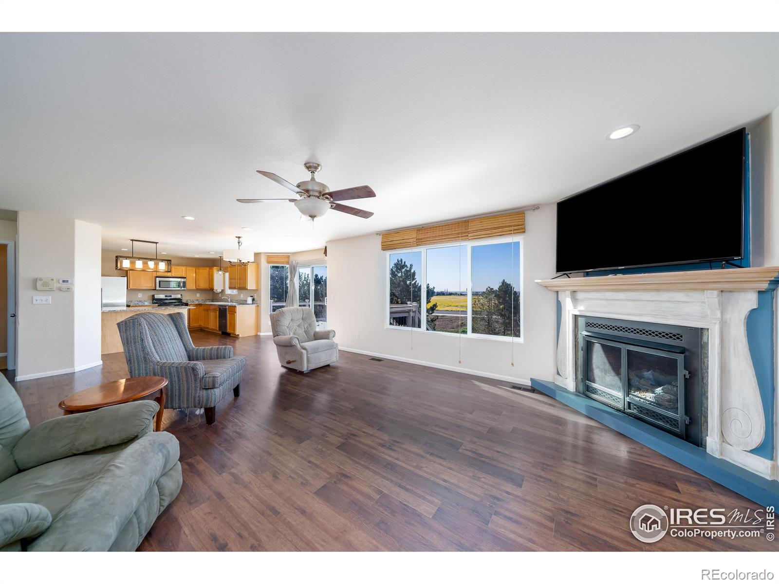 MLS Image #9 for 4870  mt princeton street,brighton, Colorado