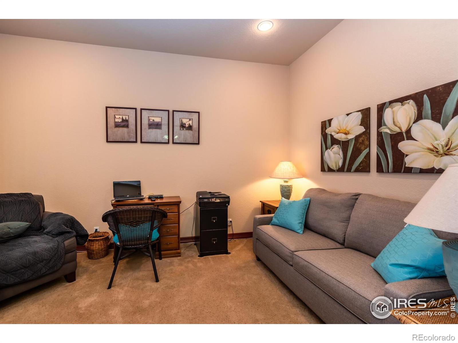 MLS Image #21 for 16380 e 119th circle,commerce city, Colorado