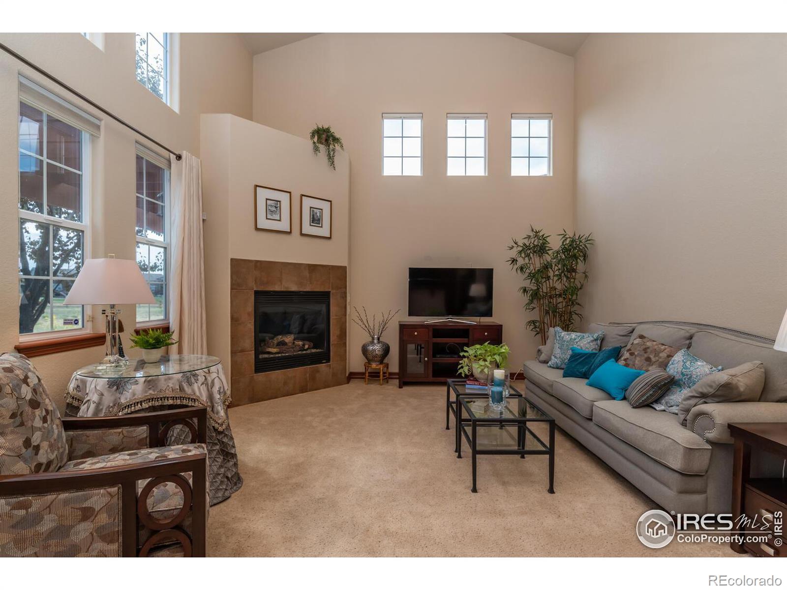 MLS Image #9 for 16380 e 119th circle,commerce city, Colorado