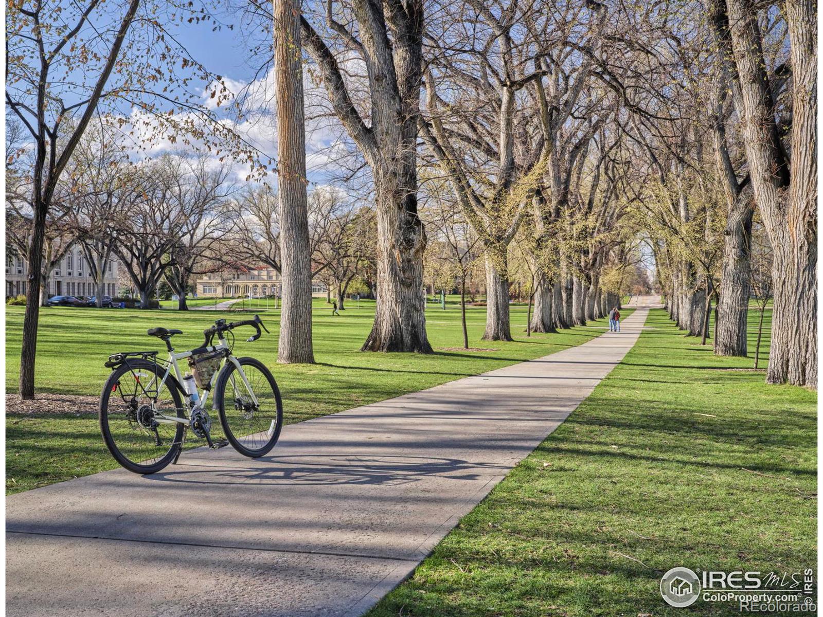 MLS Image #15 for 862  birdwhistle street,fort collins, Colorado