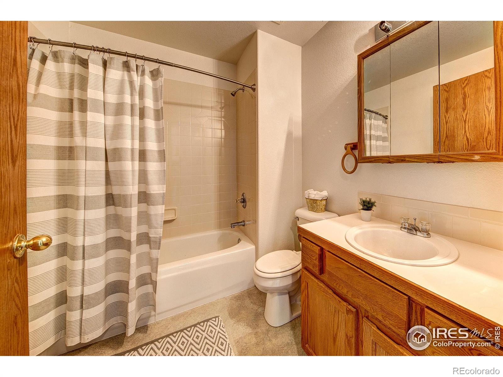 MLS Image #19 for 1804  cheyenne avenue,loveland, Colorado