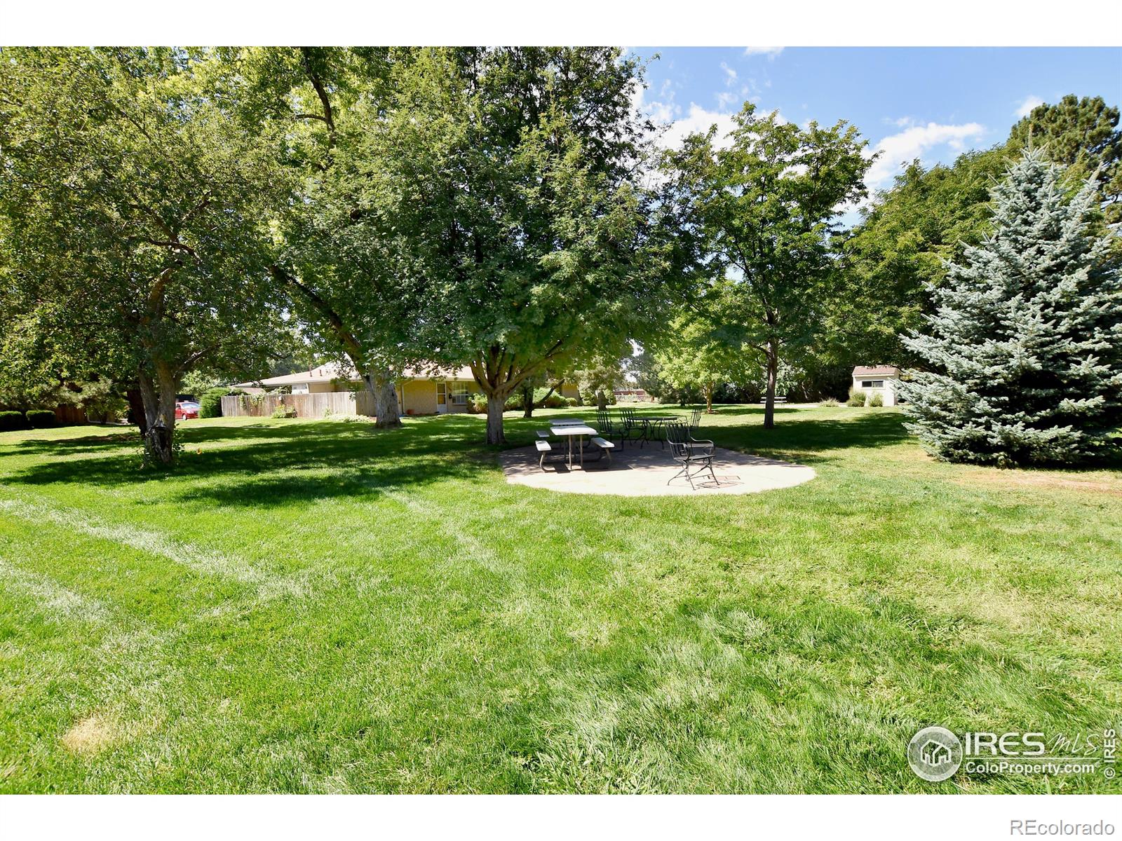 MLS Image #30 for 411 e drake road,fort collins, Colorado