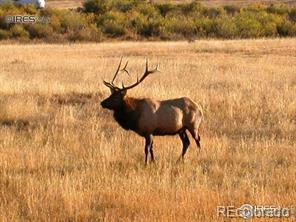 MLS Image #0 for 1565  highway 66 ,estes park, Colorado