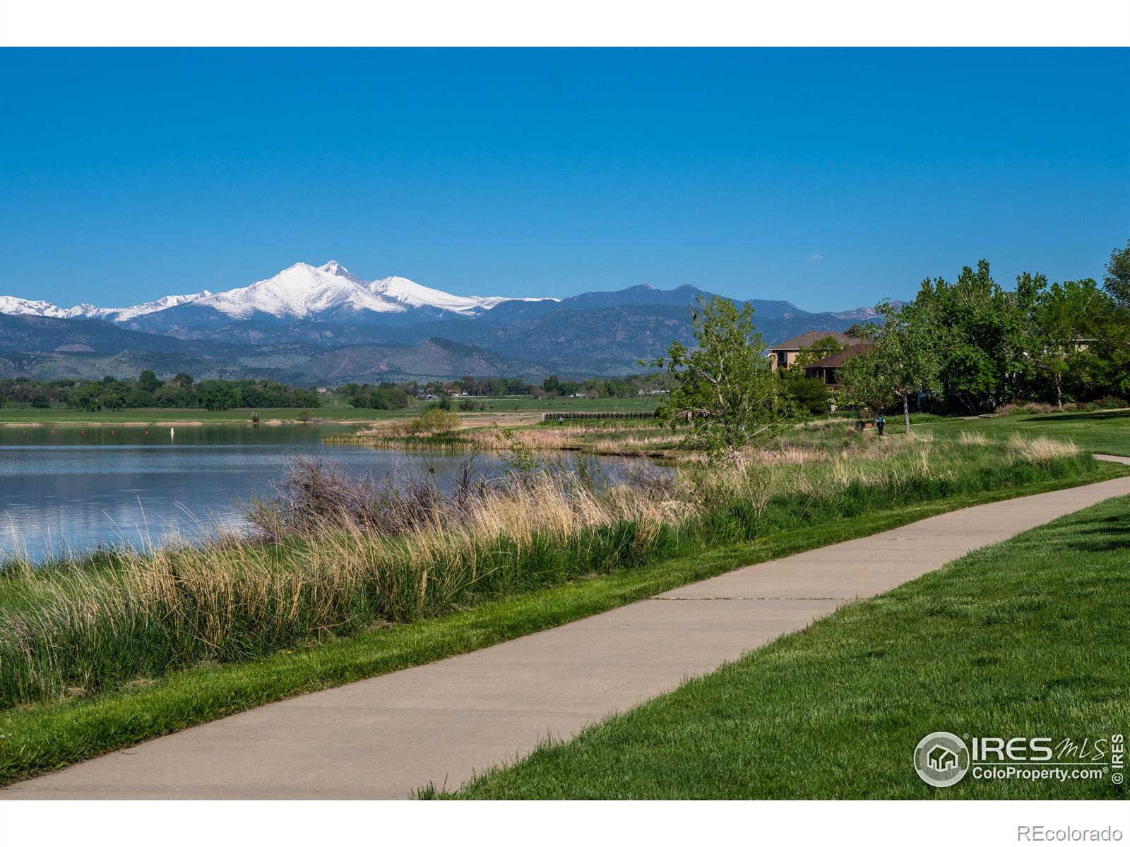 MLS Image #28 for 1920  rice street,longmont, Colorado