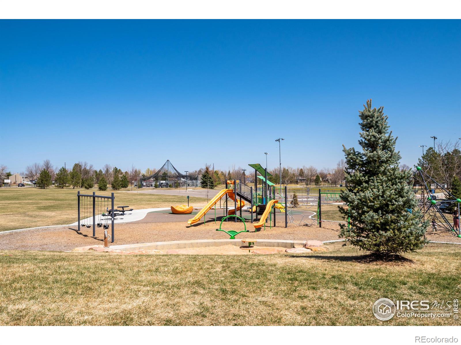 MLS Image #31 for 1920  rice street,longmont, Colorado