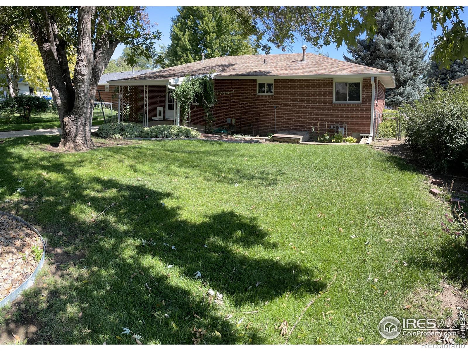 Report Image for 1135  Vivian Street,Longmont, Colorado