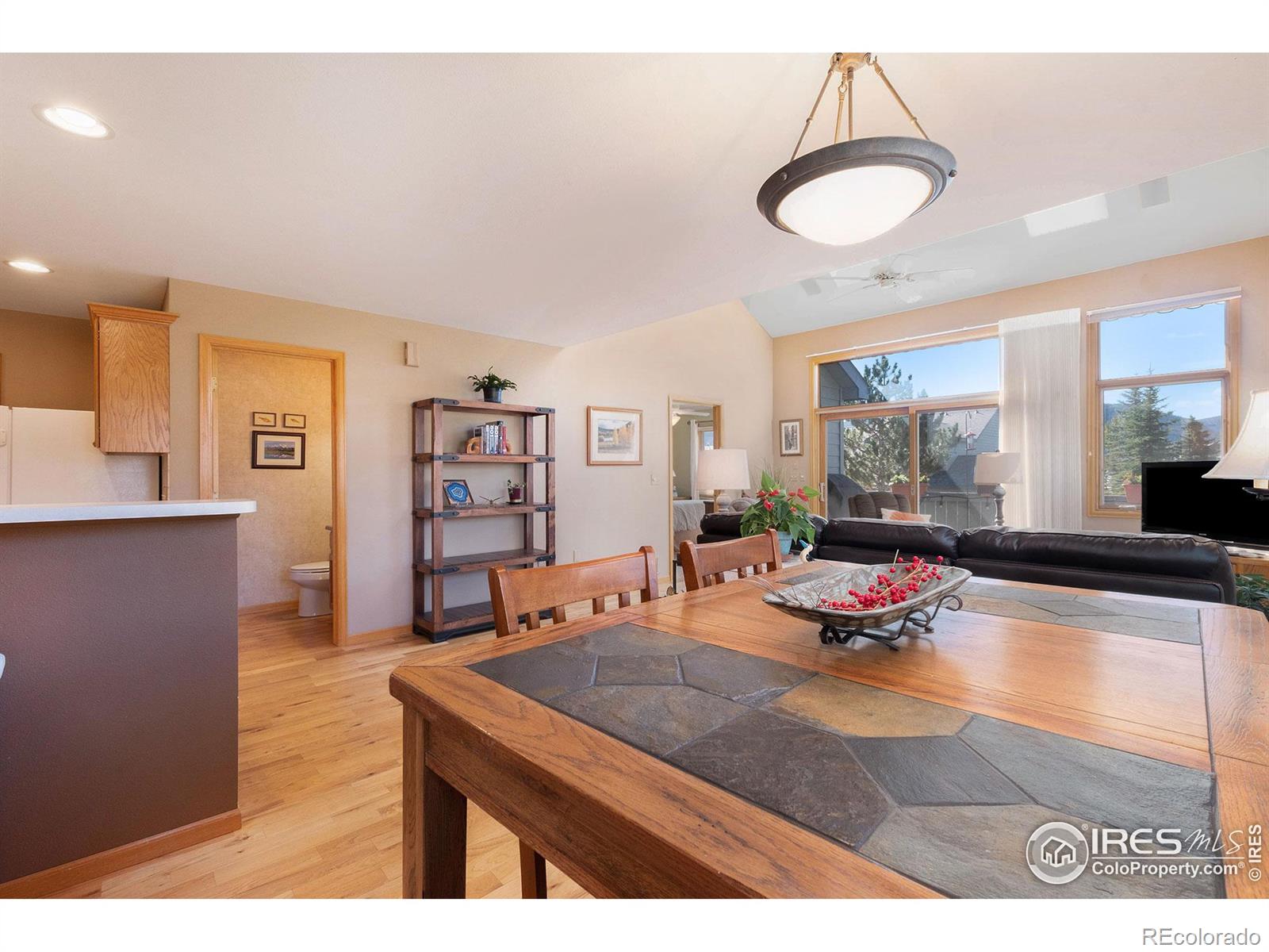 MLS Image #13 for 1535  raven circle,estes park, Colorado