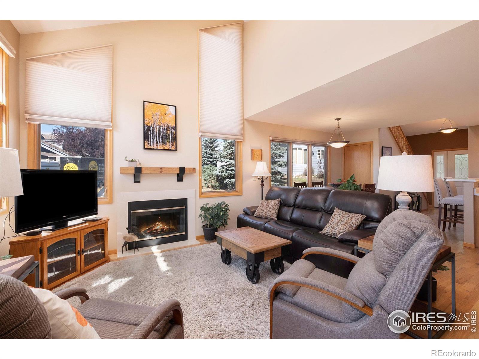 MLS Image #3 for 1535  raven circle,estes park, Colorado