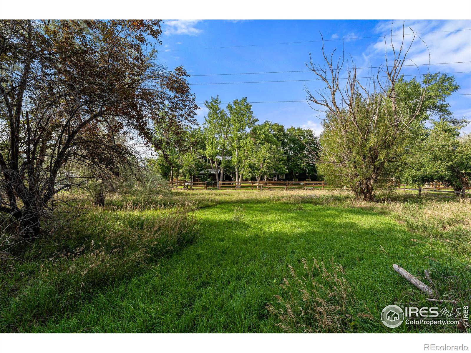 MLS Image #13 for 1933  willow creek drive,boulder, Colorado