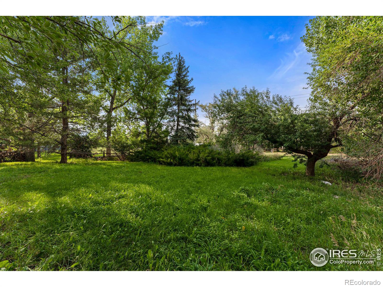 MLS Image #14 for 1933  willow creek drive,boulder, Colorado