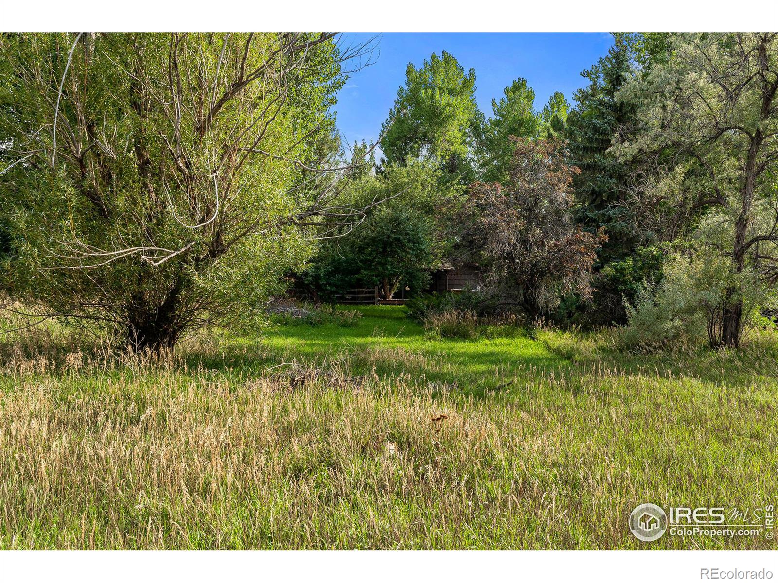 MLS Image #20 for 1933  willow creek drive,boulder, Colorado