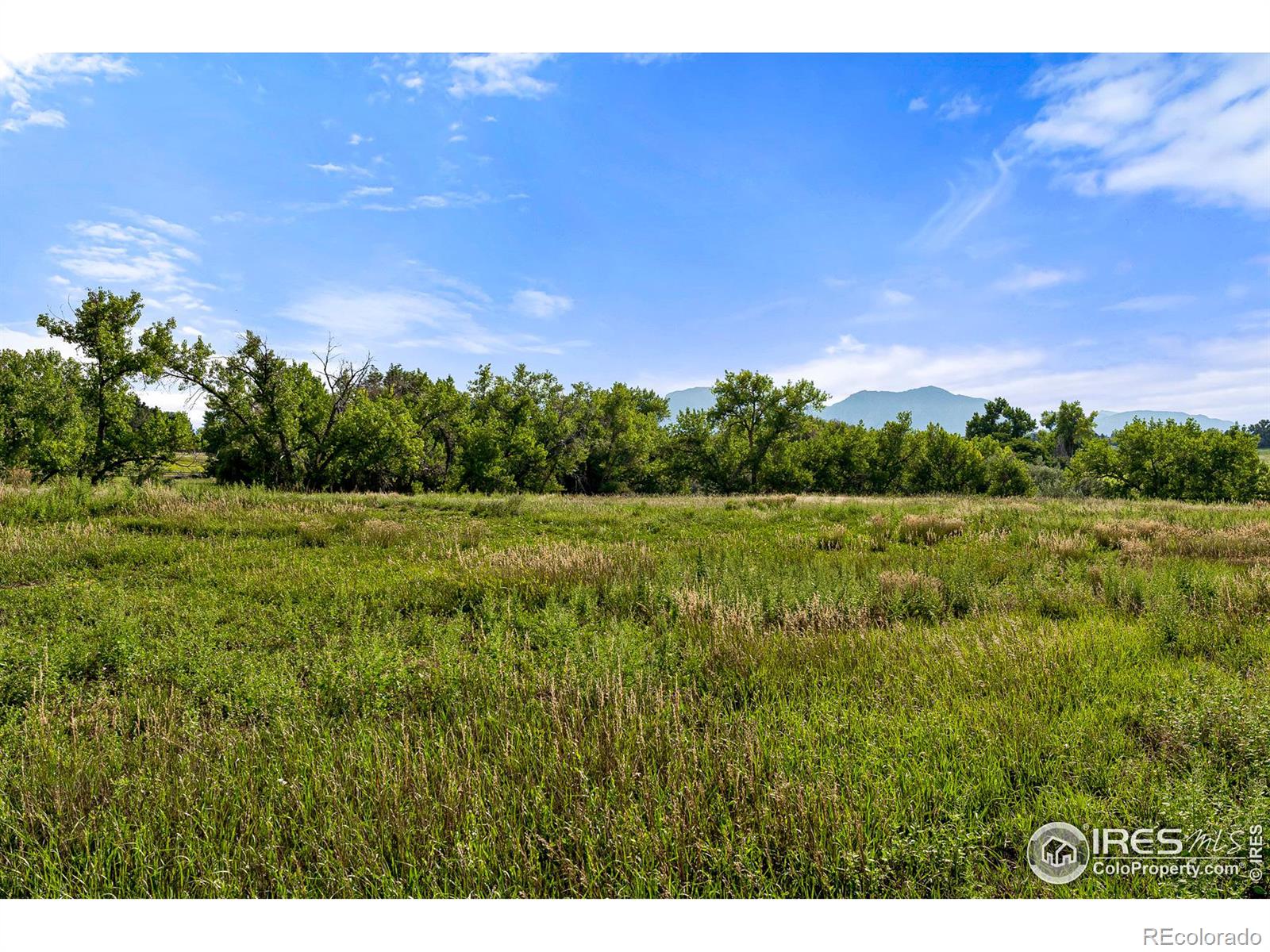 MLS Image #21 for 1933  willow creek drive,boulder, Colorado