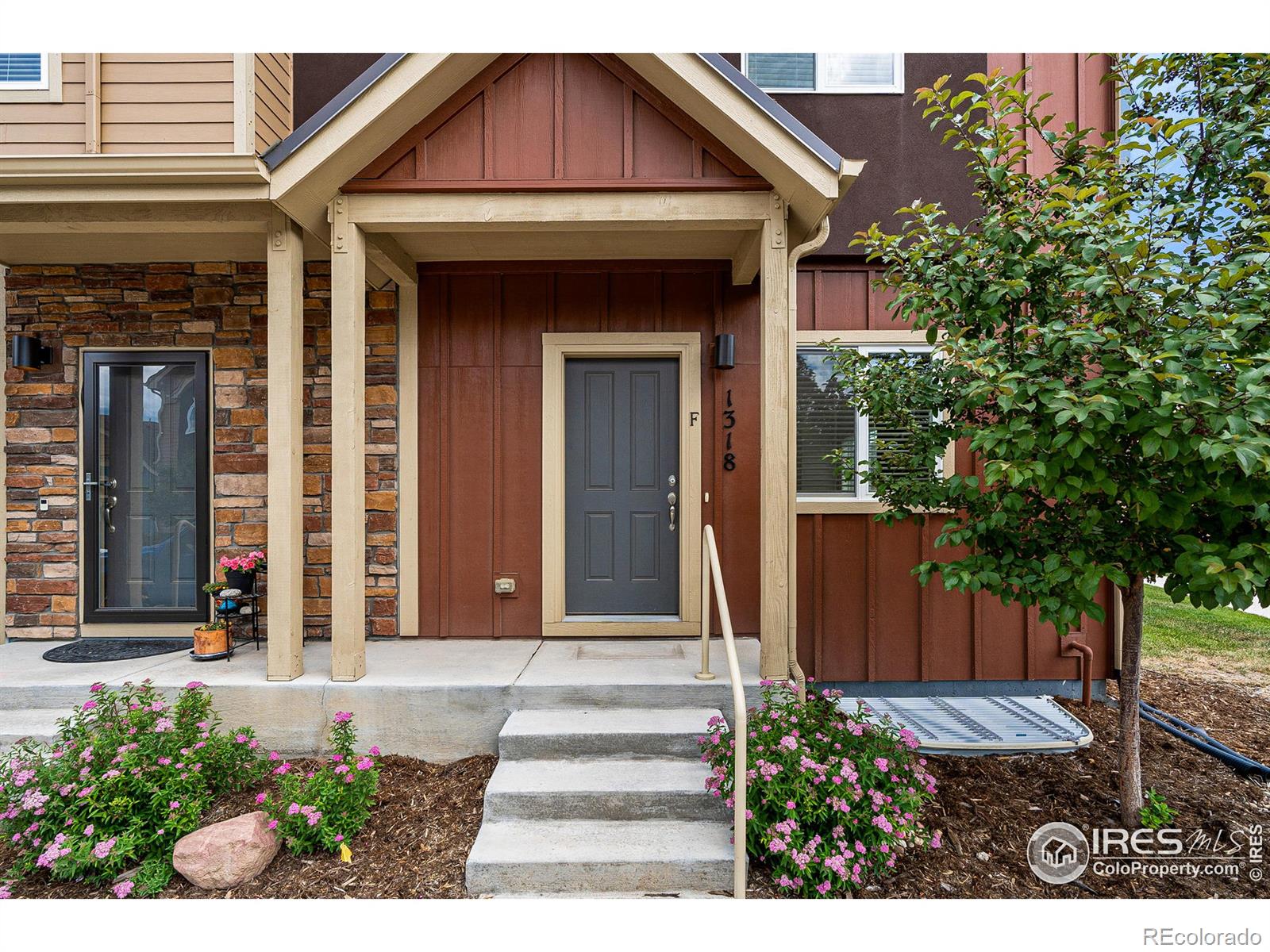 MLS Image #3 for 1318 s collyer street,longmont, Colorado